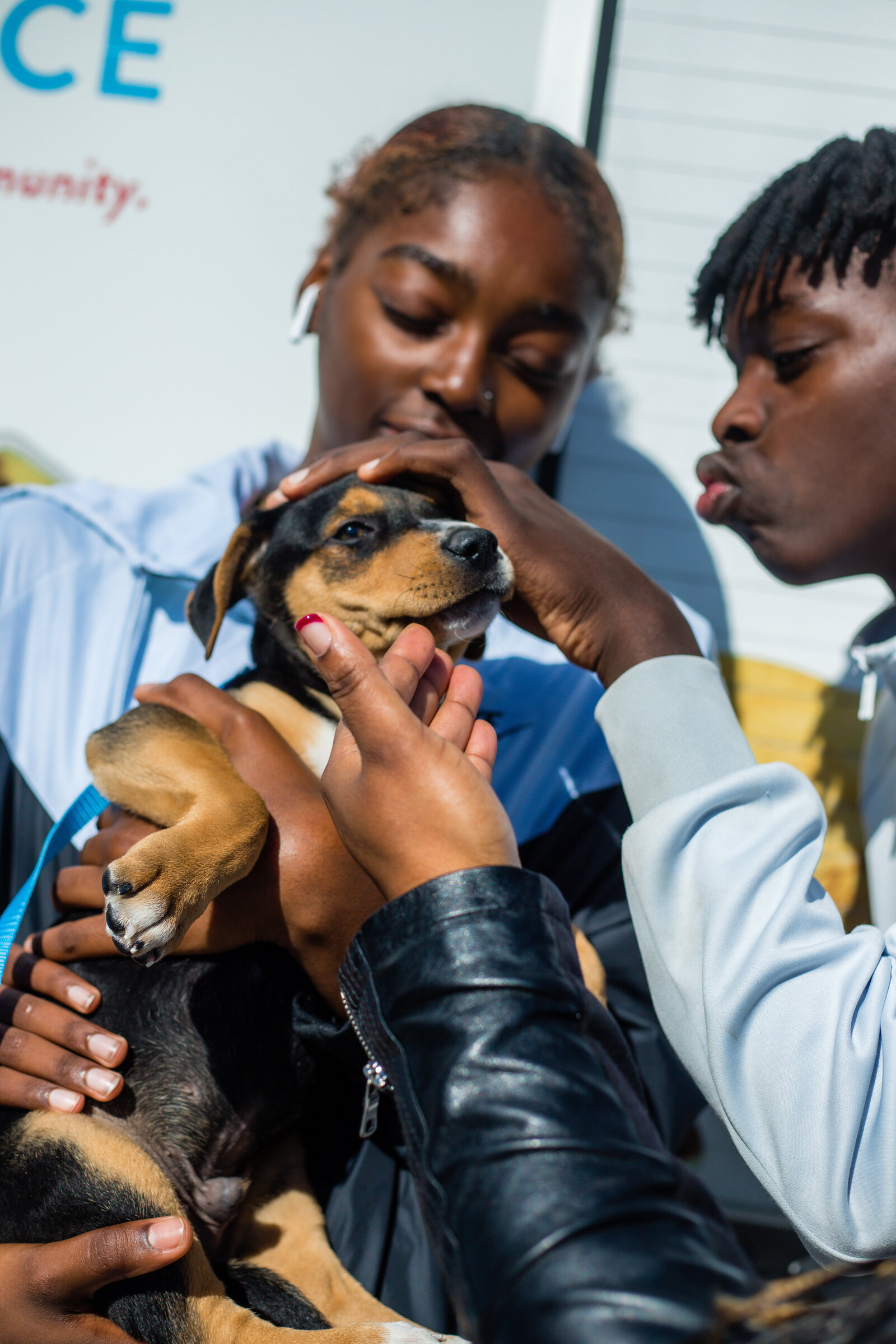 Human rescue alliance adoption photos