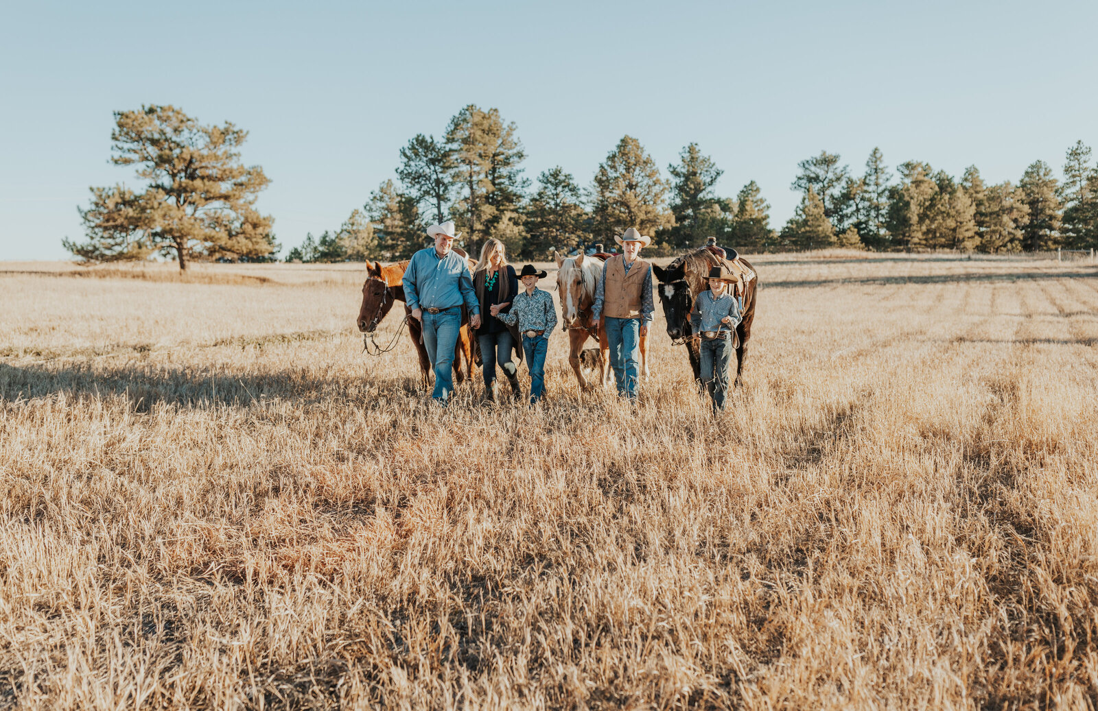 Family walks with horses in open pasture