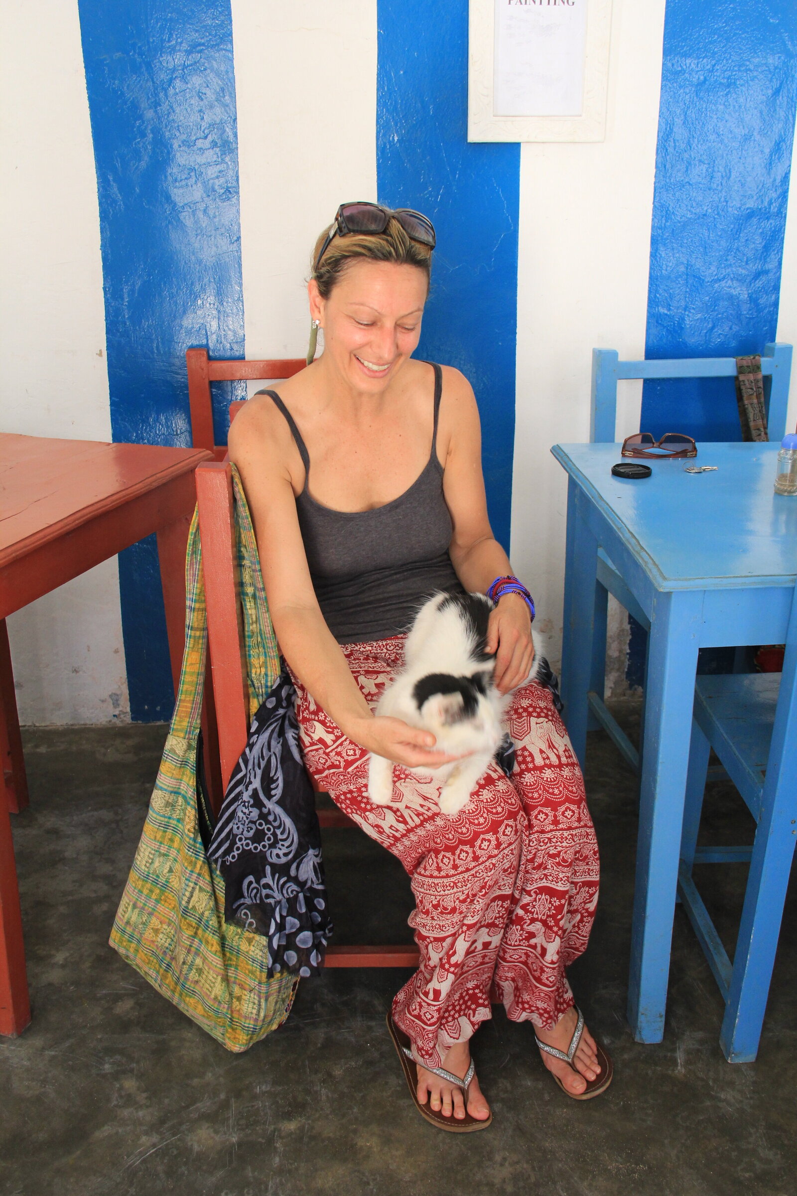 Cat on lap - Zanzibar