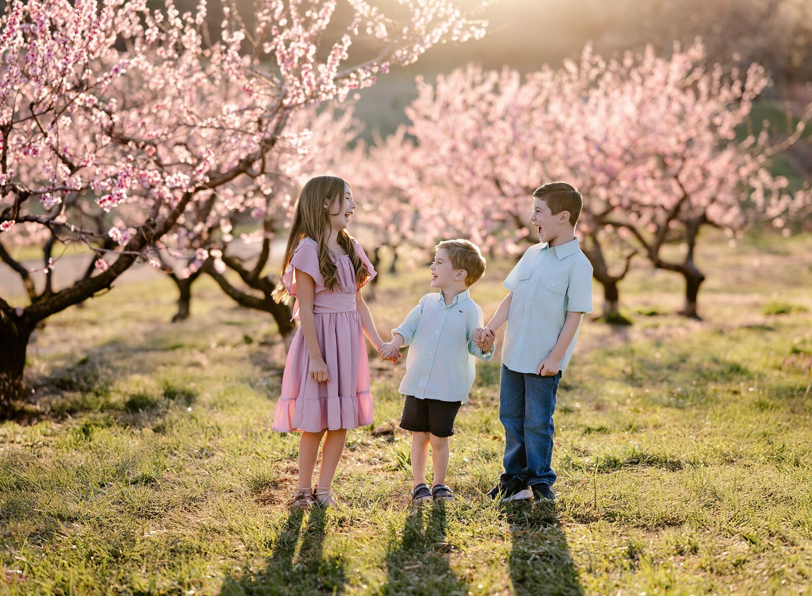 Kids holding hands and laughing at each other in peach orchard field. Family photo taken by Jenni Nikki Photography near Atlanta, GA.