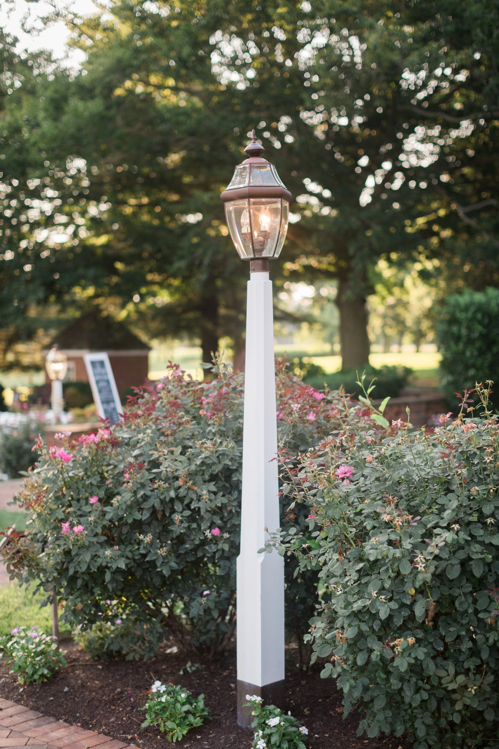 i-pink-floral-va-estate-wedding_1661
