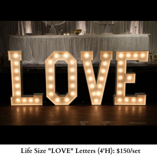 Life Size LOVE Letters-742
