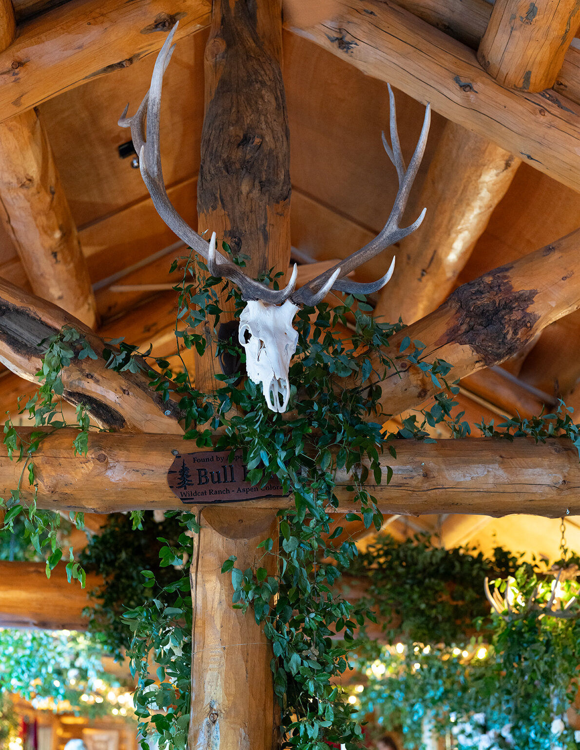 Pine Creek Cookhouse Wedding Aspen Colorado-Wedding Gallery-Carrie King Photographer-1513