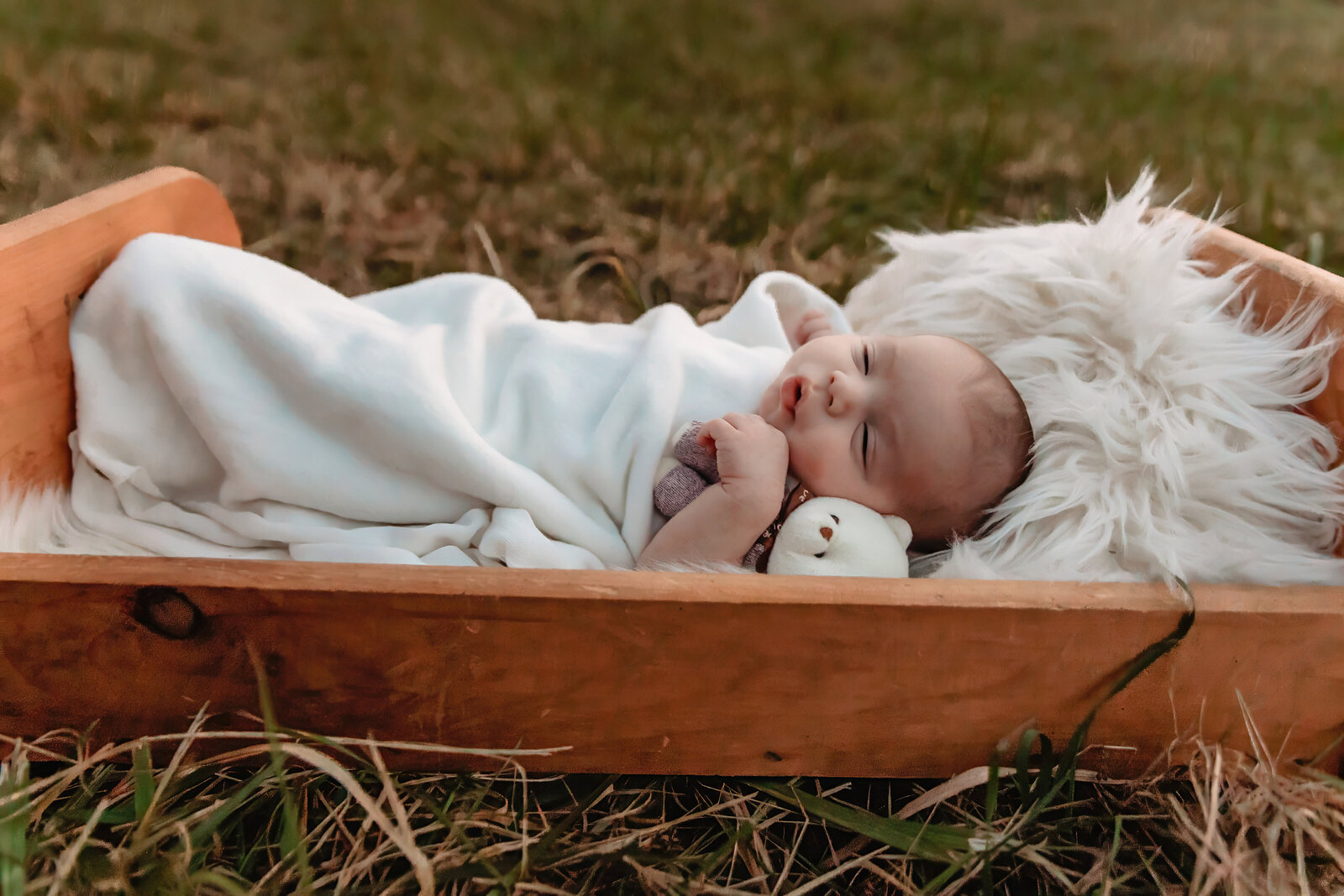 Newborn Photos Hornell NY-19