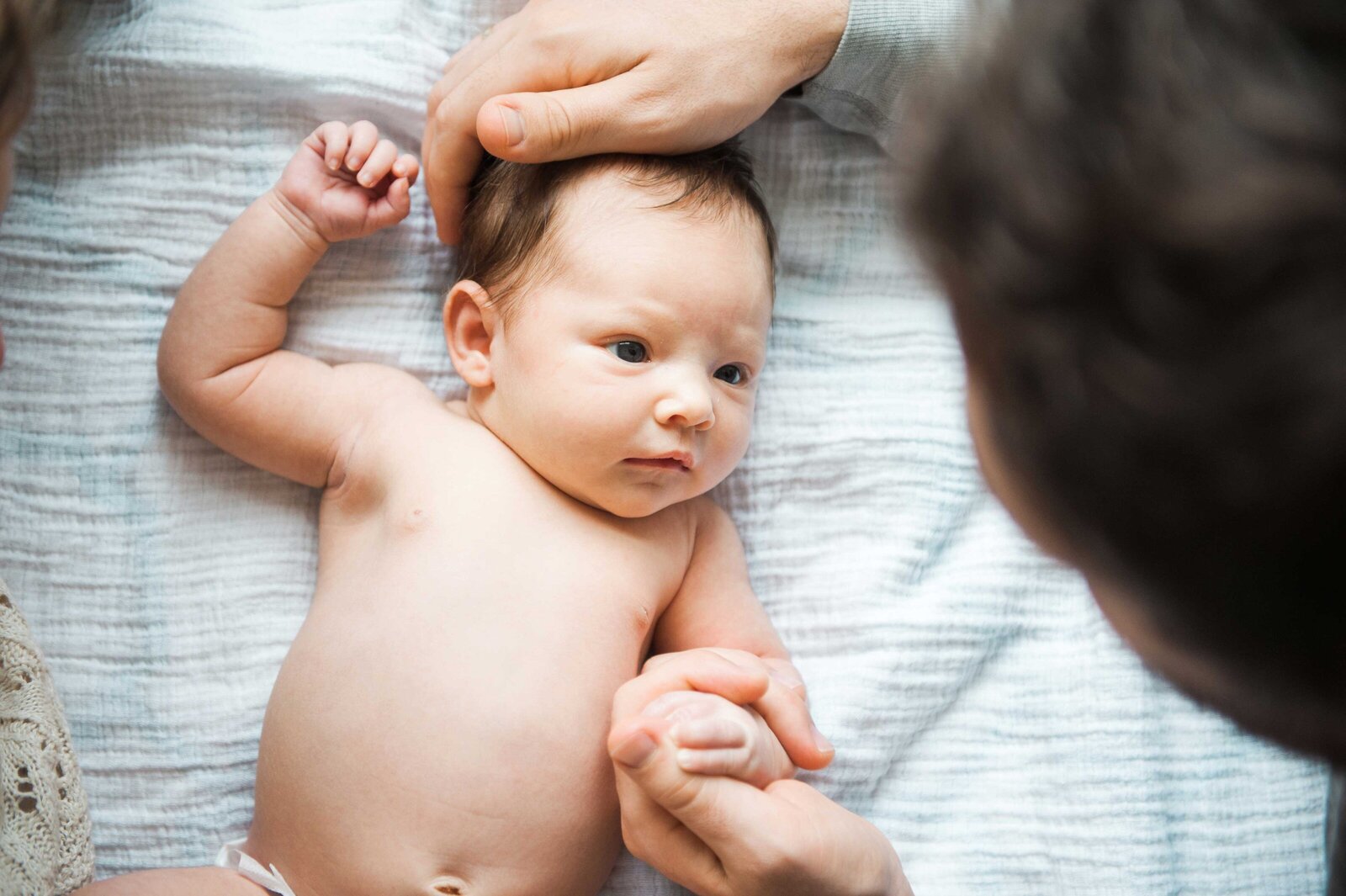 Newborn_Photography_Ashburn_Virginia_Minikin_Photography