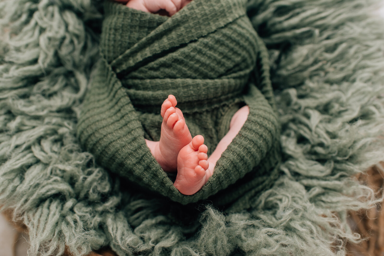 Sharon Leger Photography | Canton CT Newborn and Family Photographer-10