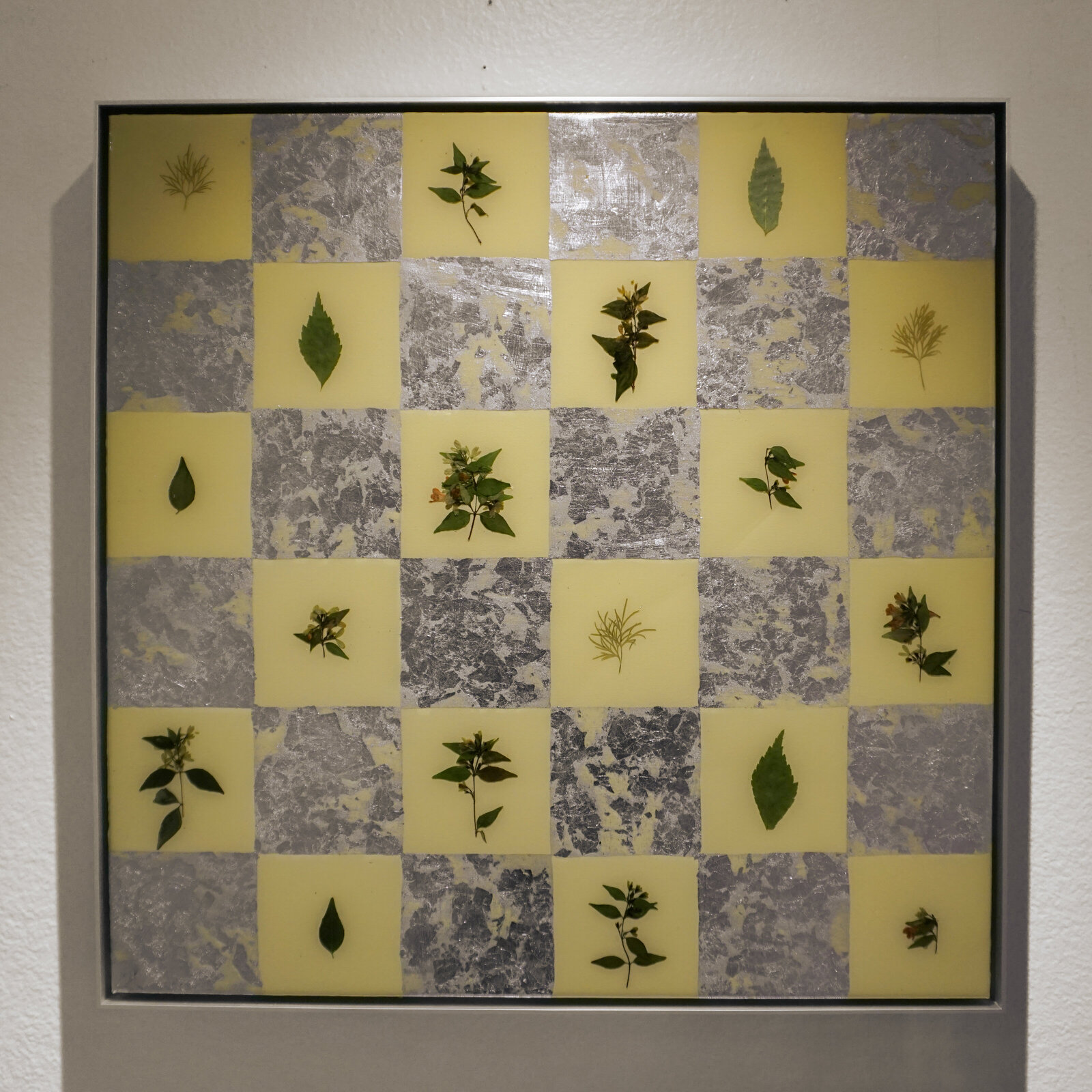 Checkered Collection 2024-02