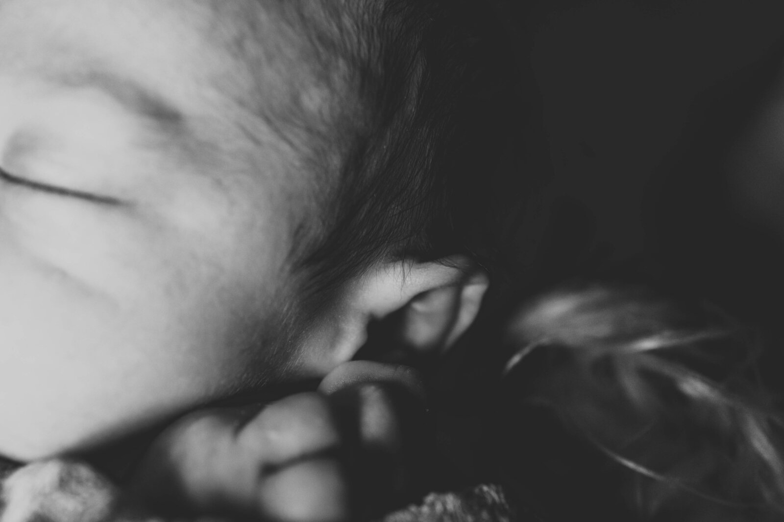 Baby Jack-14