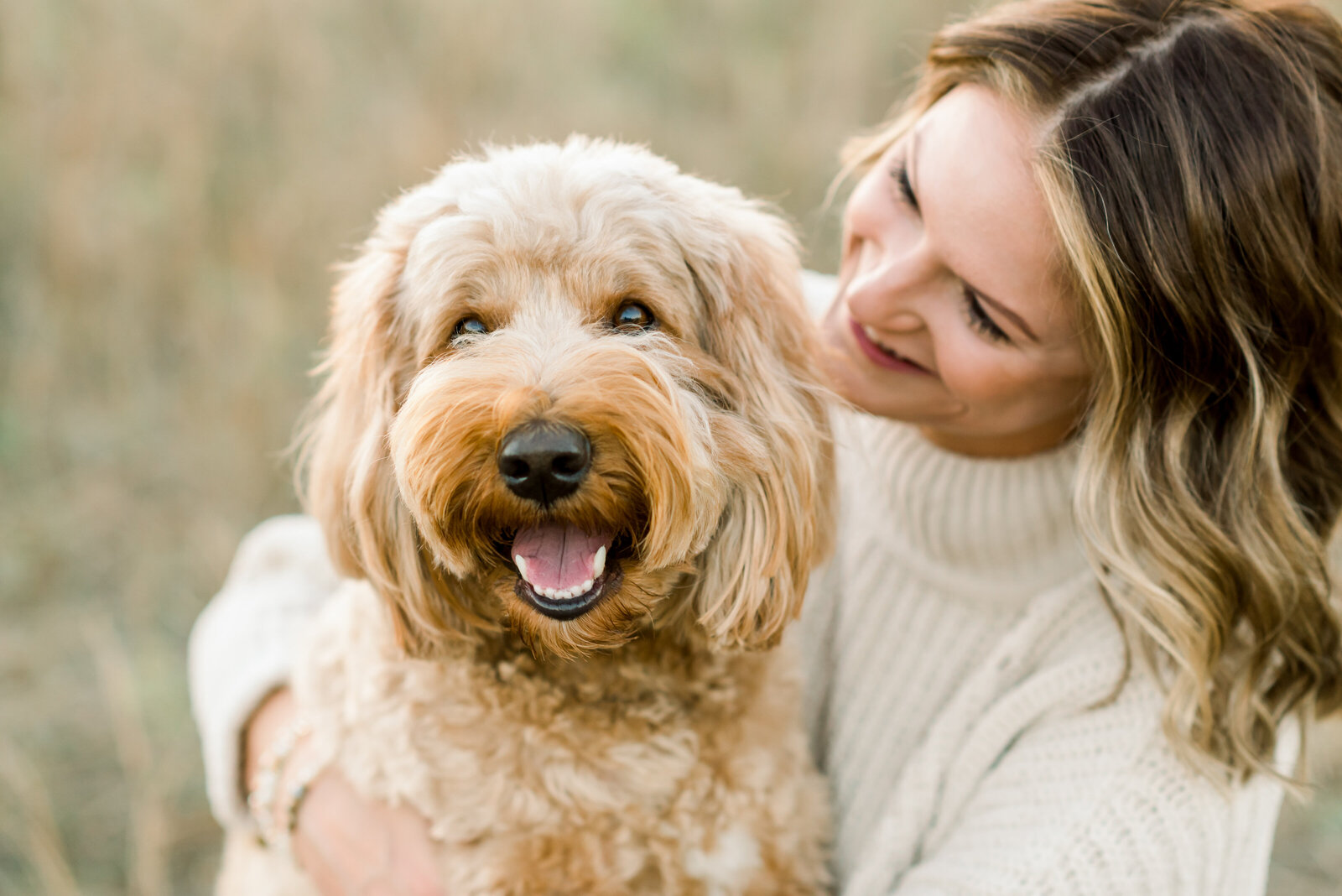 Goldendoodle Photo Session-15