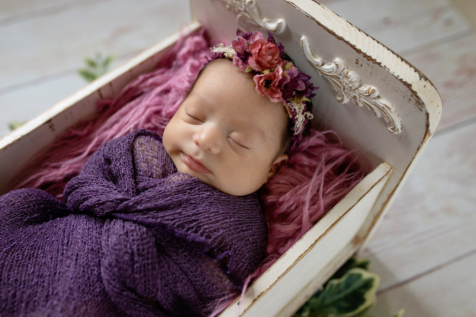 Pink and purple newborn session