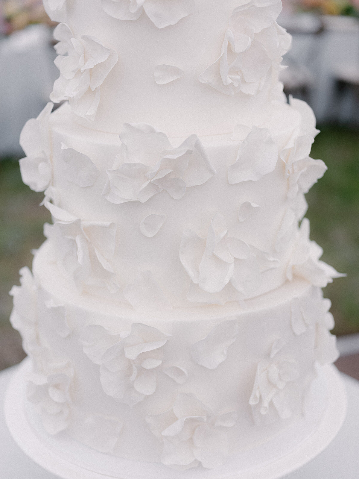 Telluride Wedding Photographer-Wedding--1905