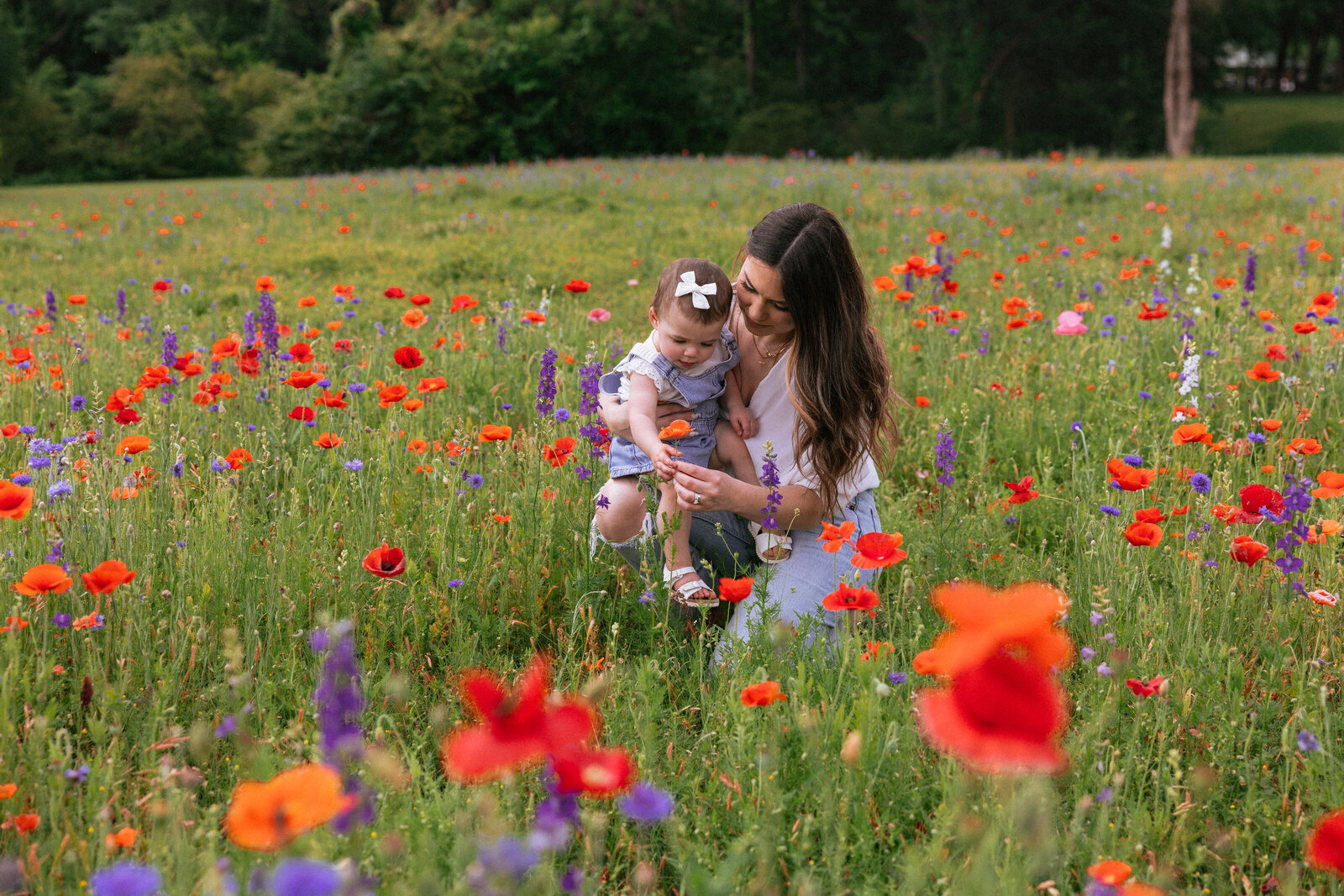 Nora Wildflowers (12 of 43)