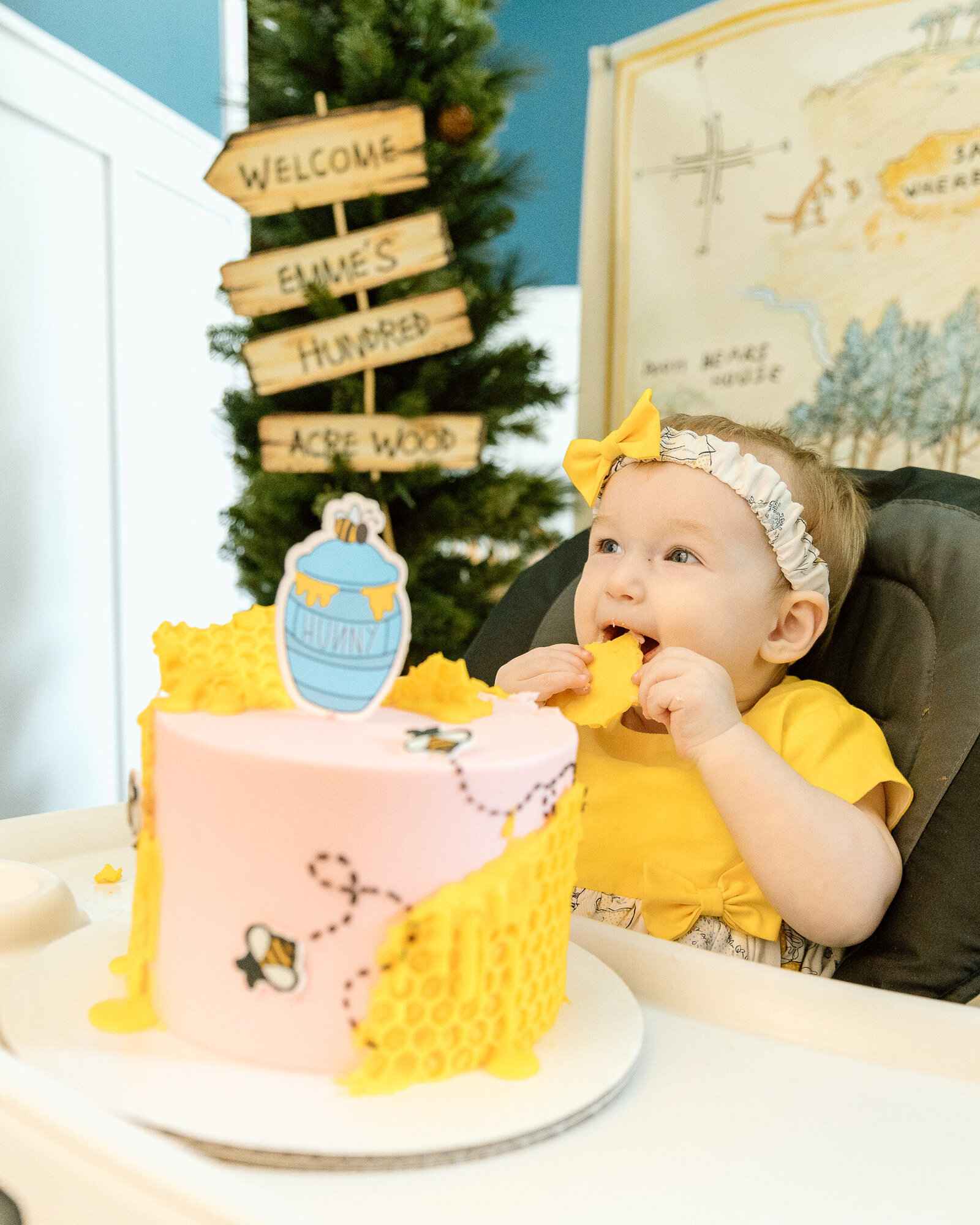 winnie-the-pooh-smash-cake-party-photography (18)