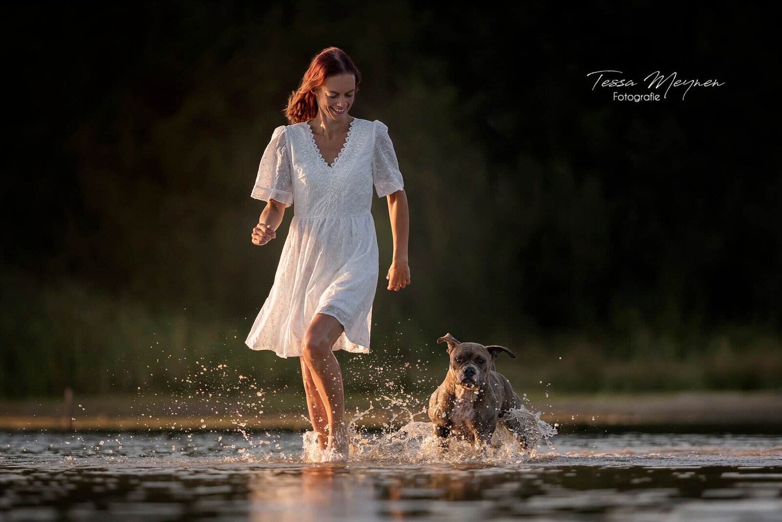 Actie in het water voor baasje en hond
