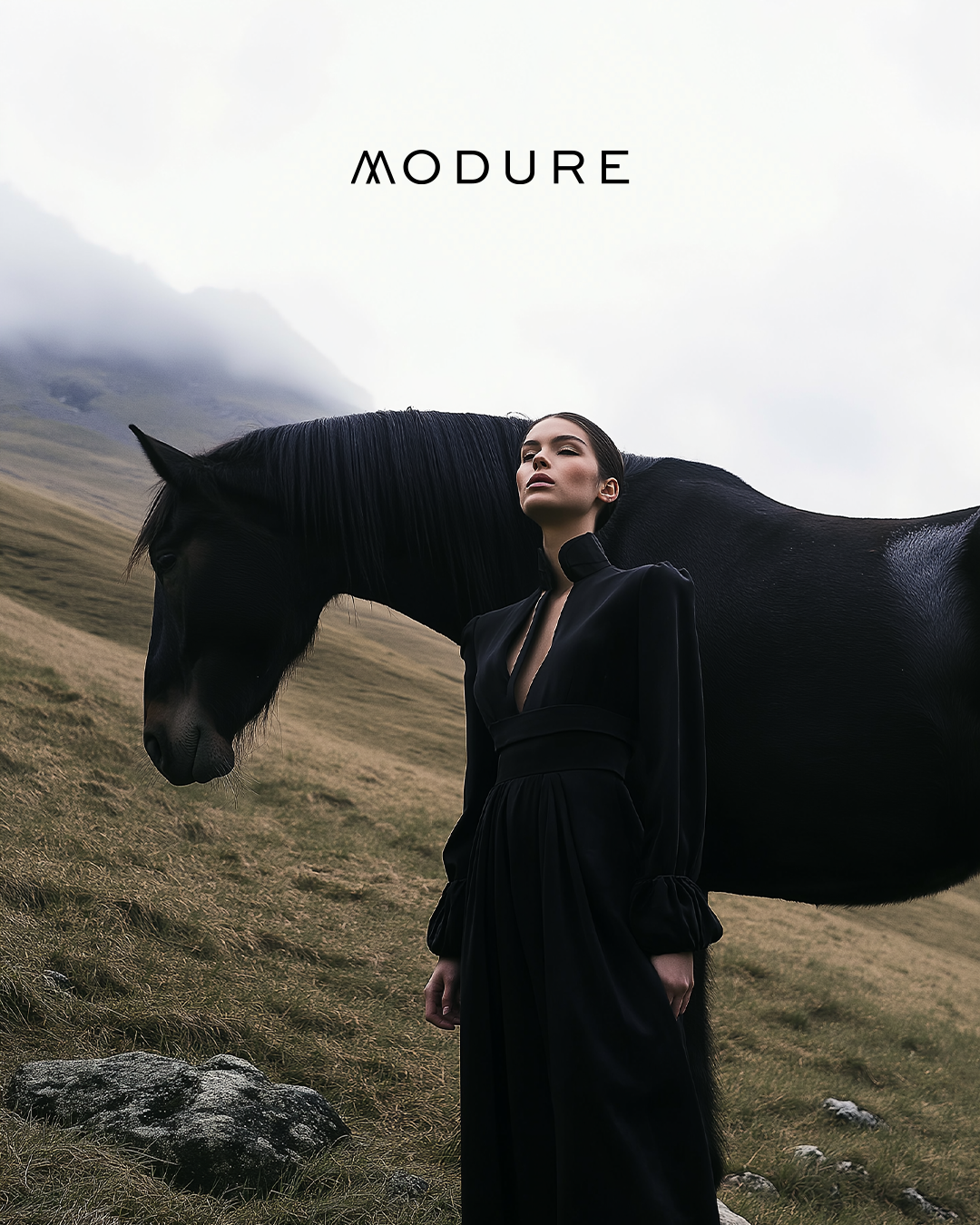 Horsephoto