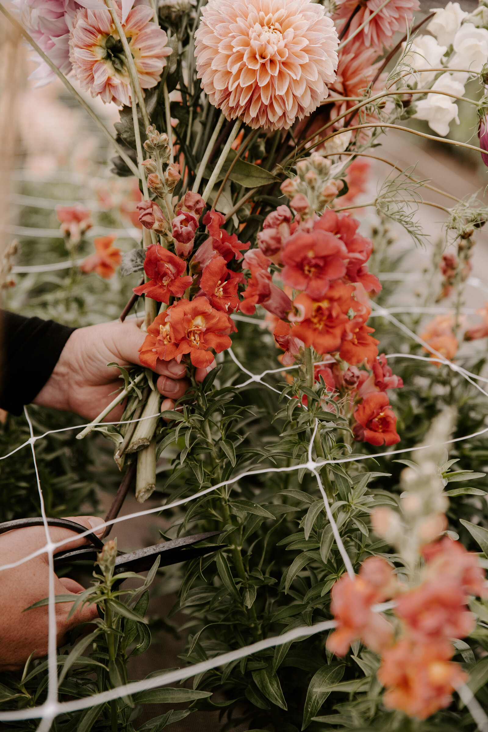 classesflorale_worshop_fermeflorale_13