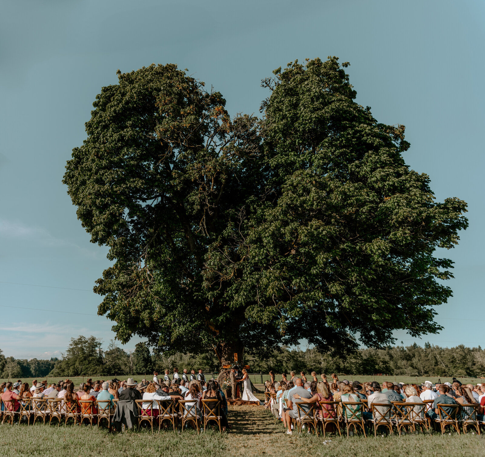 Washington Wedding C+S-424