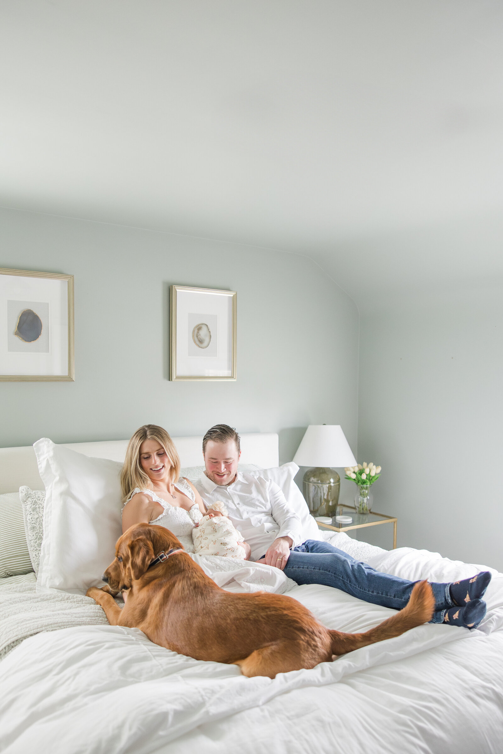 Cleveland Newborn Photographer in home photos with dog
