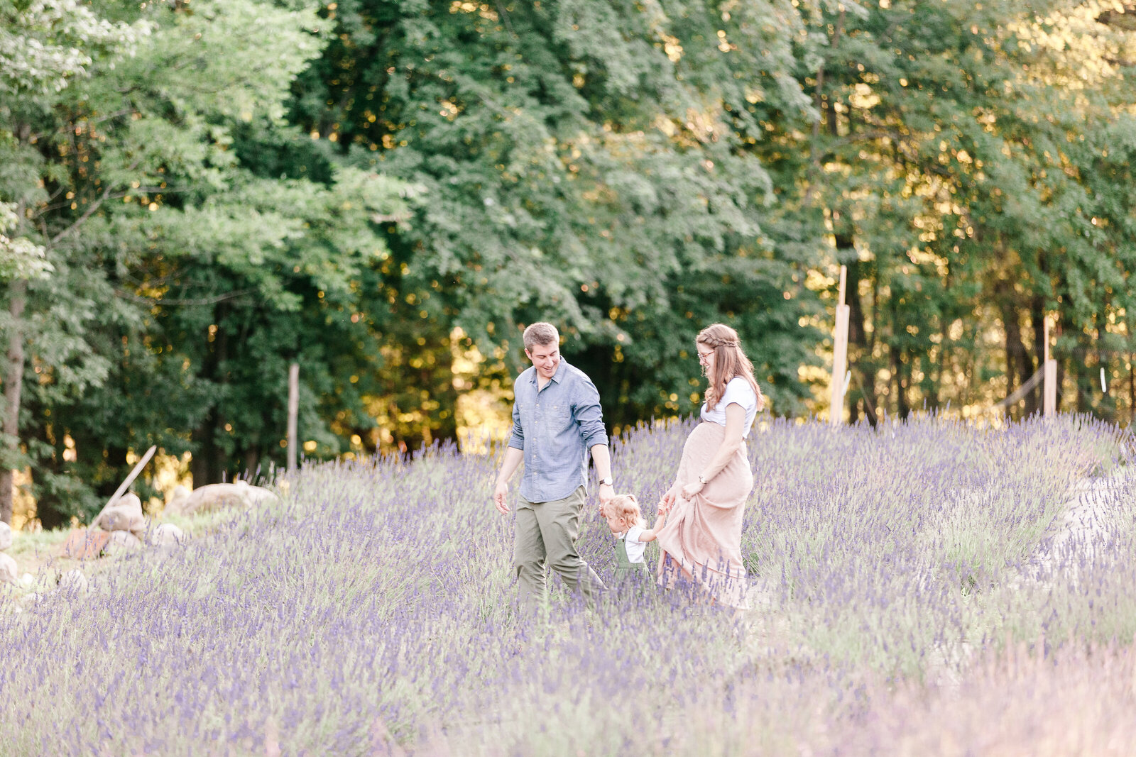 Pregnant mom, daughter, and dad holding hands walking through a lavender field by NH newborn photographer Fieldstone Studio.