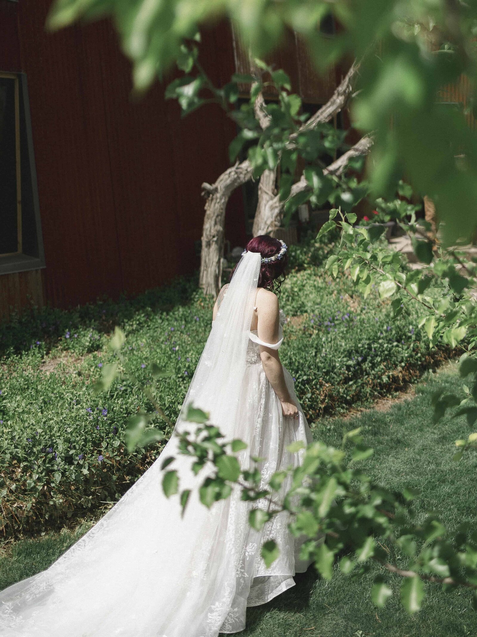 colorado film wedding photographer23