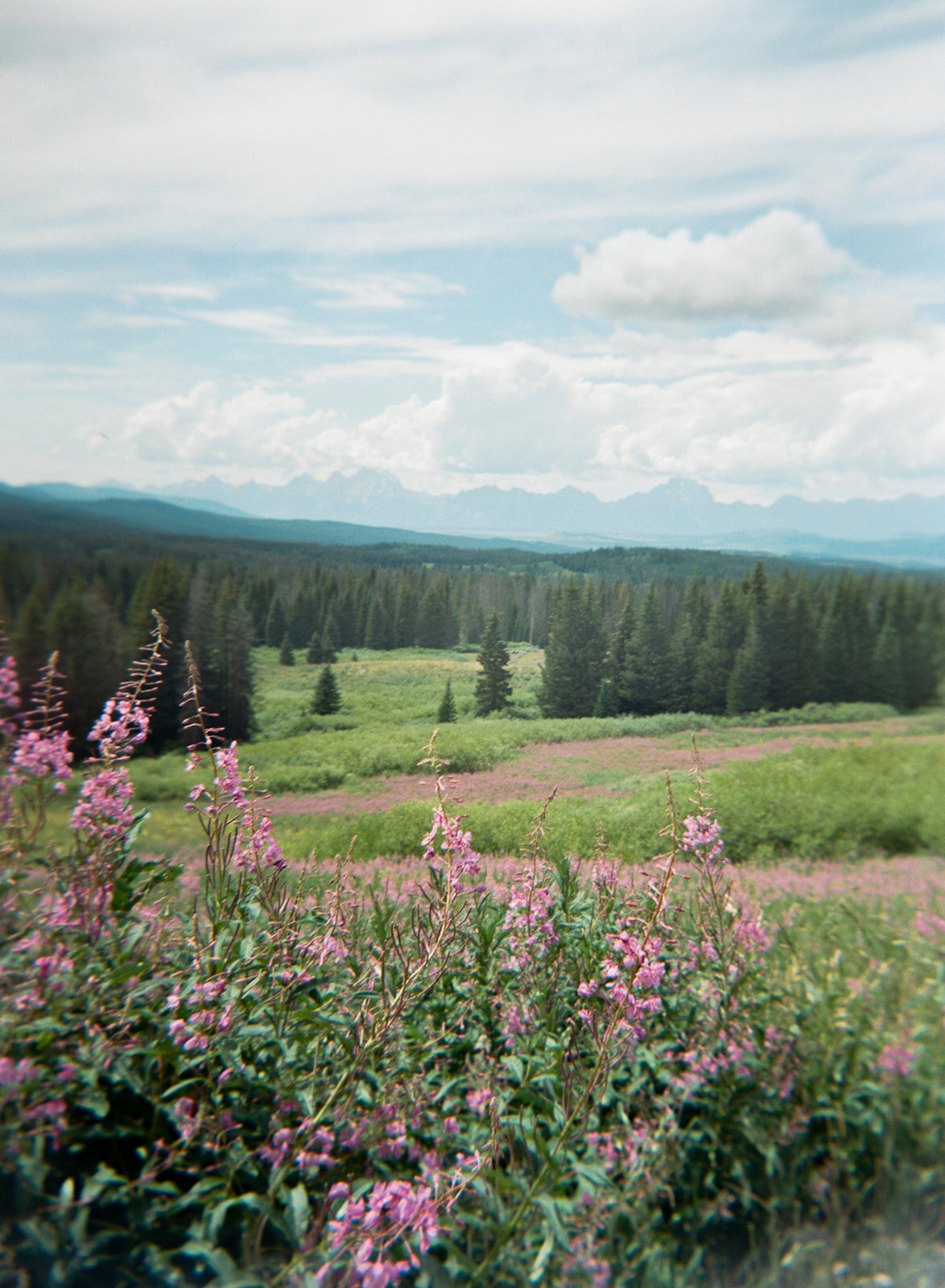 2022 Jenny Shipley SS Jackson Hole Holga-8