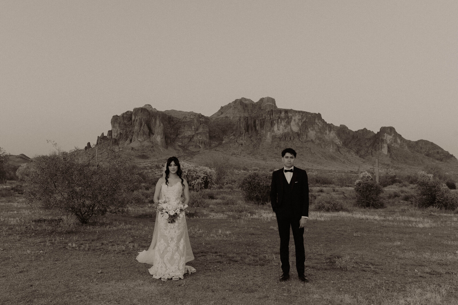 TheCarmonasWeddingAZ-1103