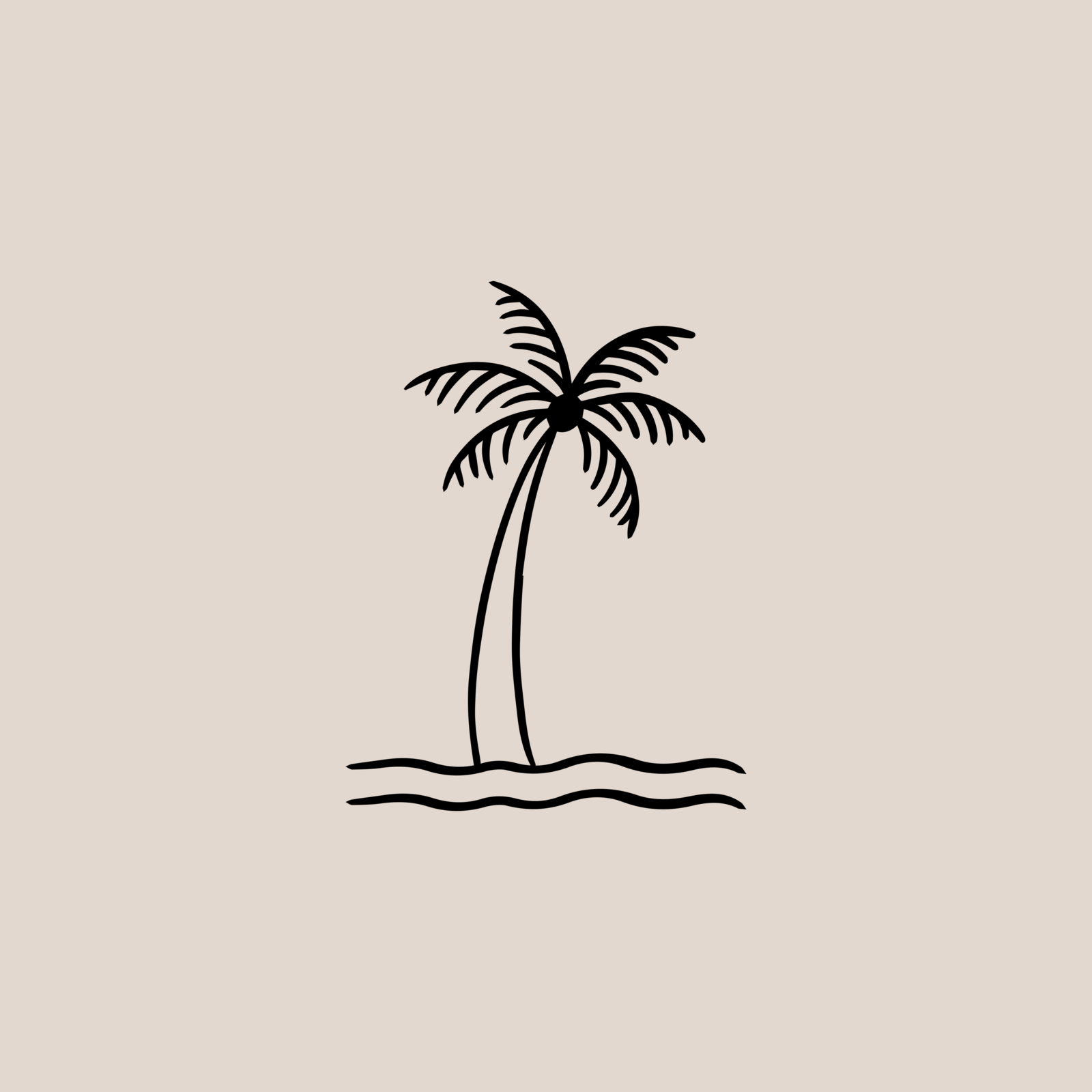 palm illu6