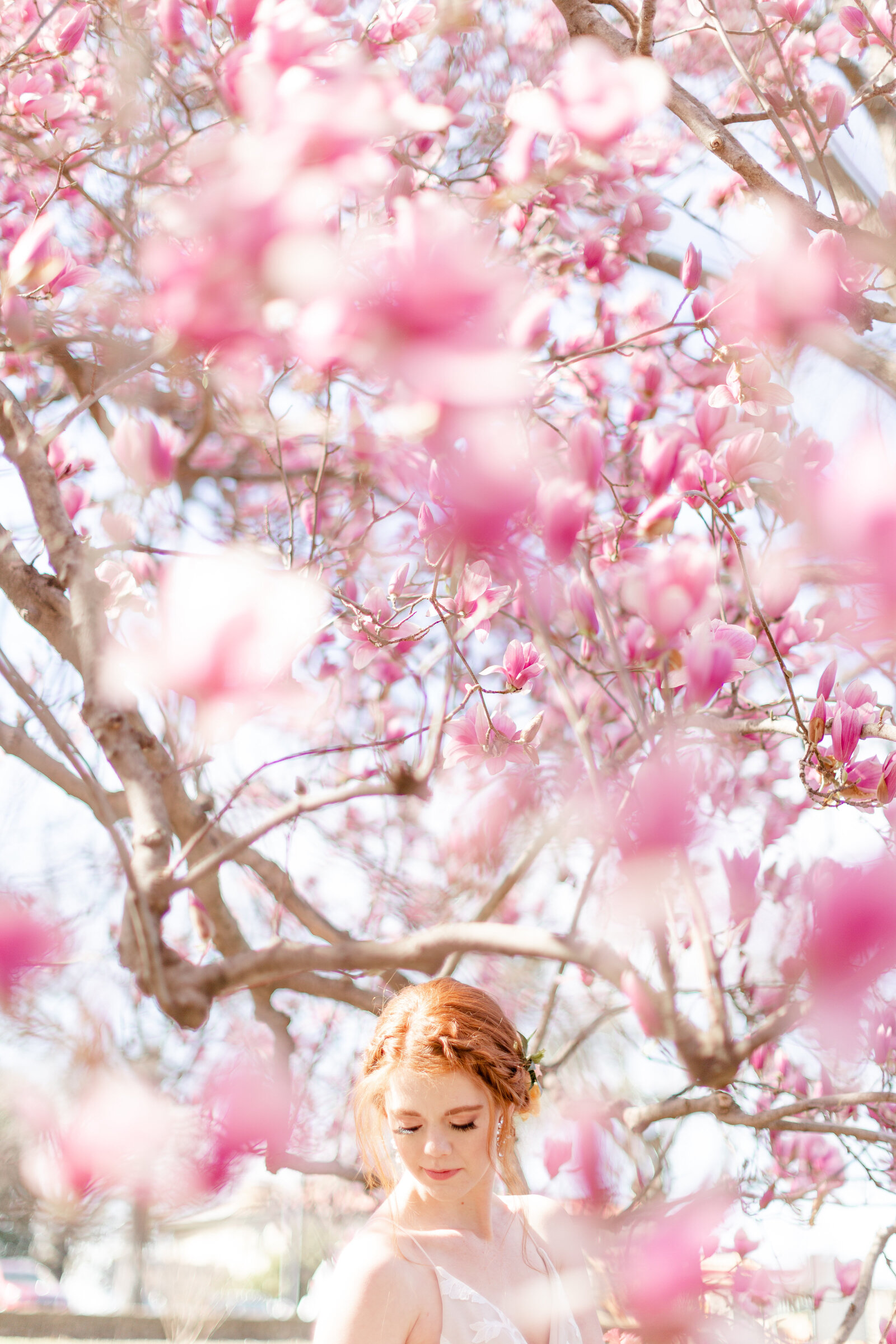 A bride wearing her Ellis bridal wedding gown standing beneath a flowering cherry blossom tree in the Spring.