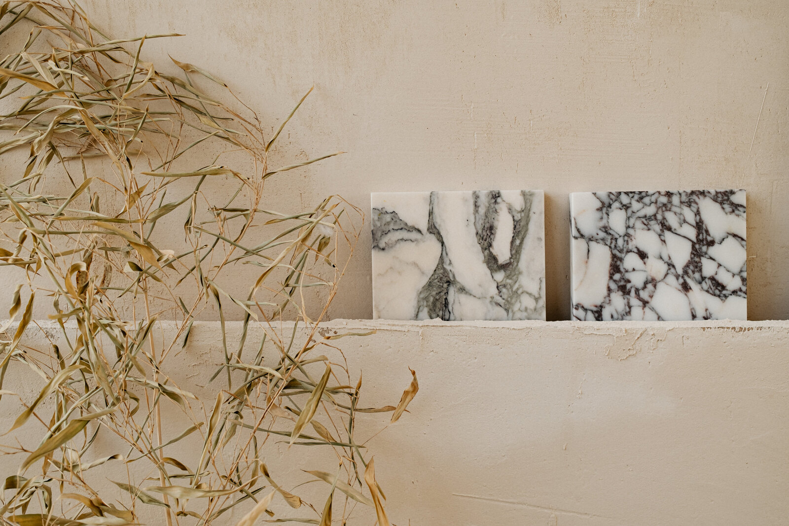 kaboompics_textured-harmony-natural-forms-and-shadows-in-still-life-decor-35219