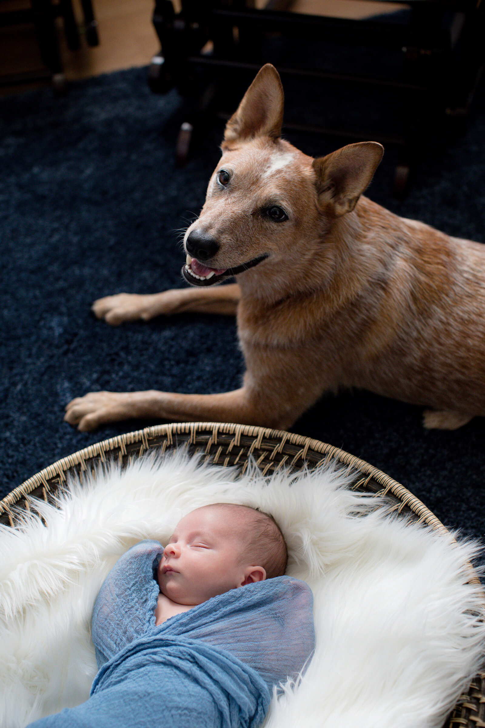 Newborn Session (22 of 77)