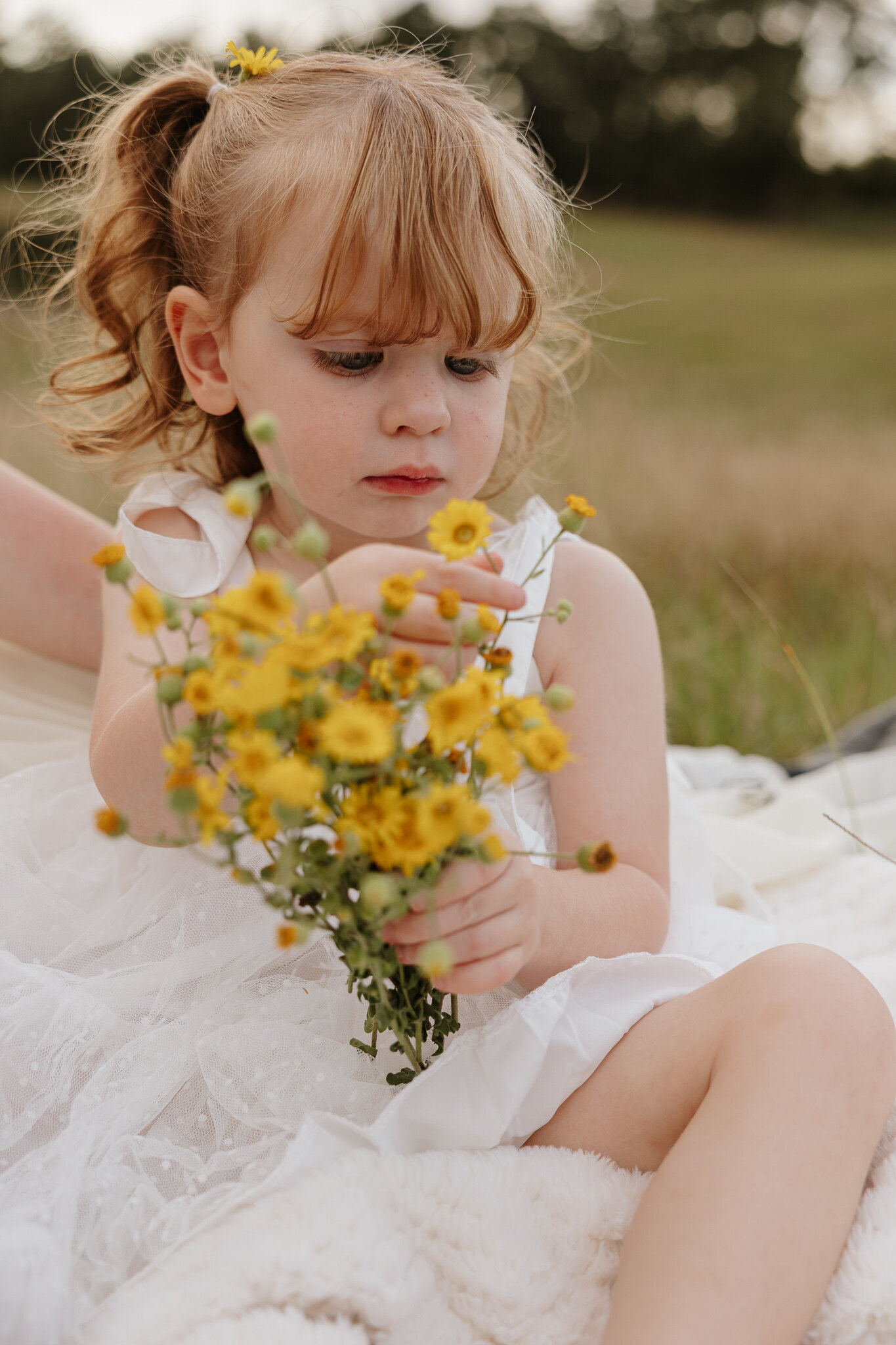 Little girl picking yellow wildflowers during a family session in a sunny farm field in Aiken SC.