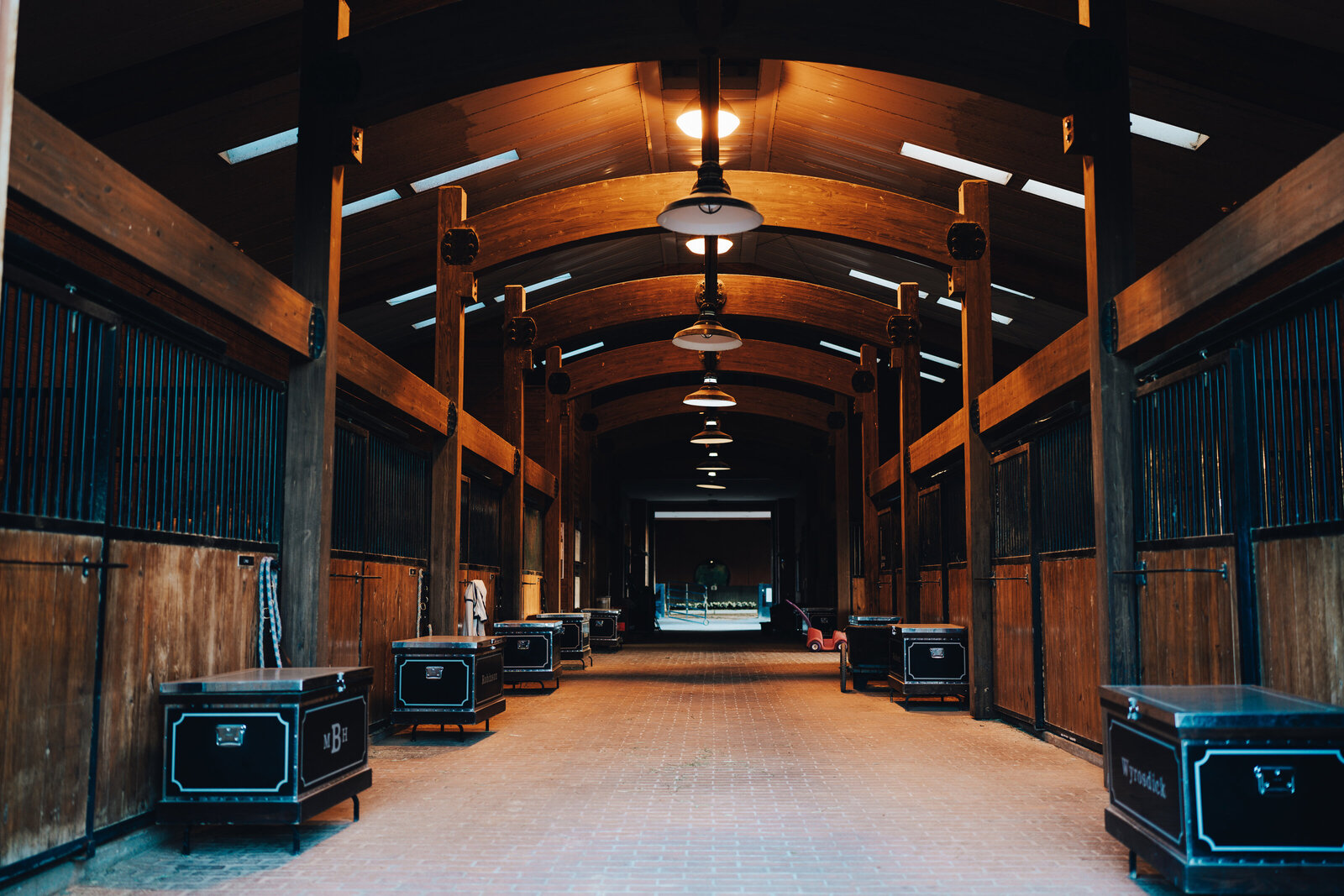 mjmphotography.blackjack.2024-11