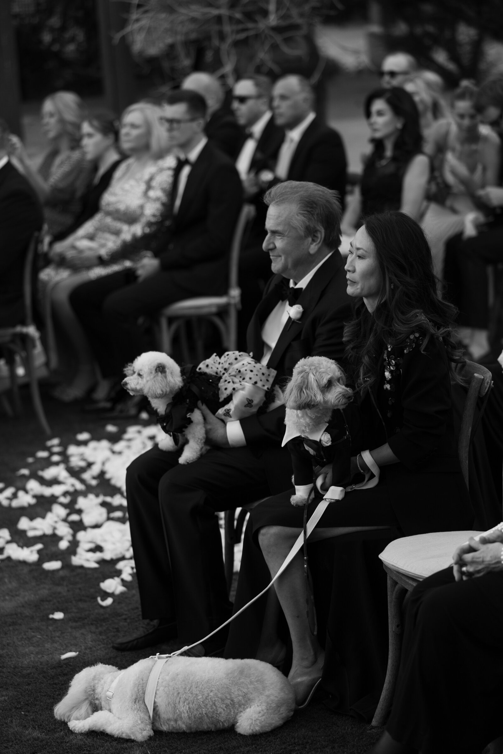 0207-IMG_9965-AshleyRaePhotography