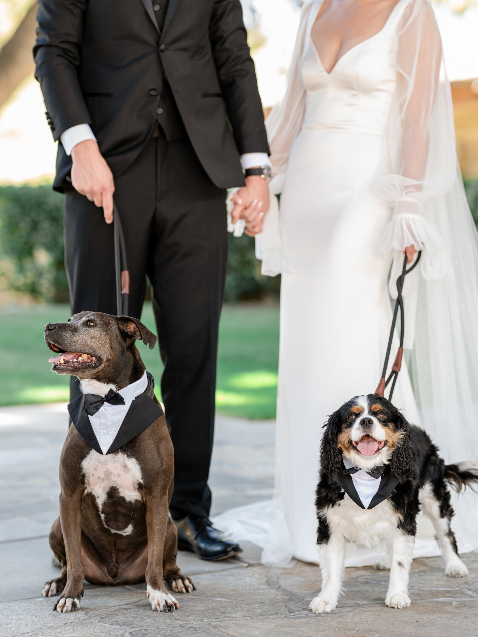 Dove Canyon Wedding Highlights  - Holly Sigafoos Photo-33