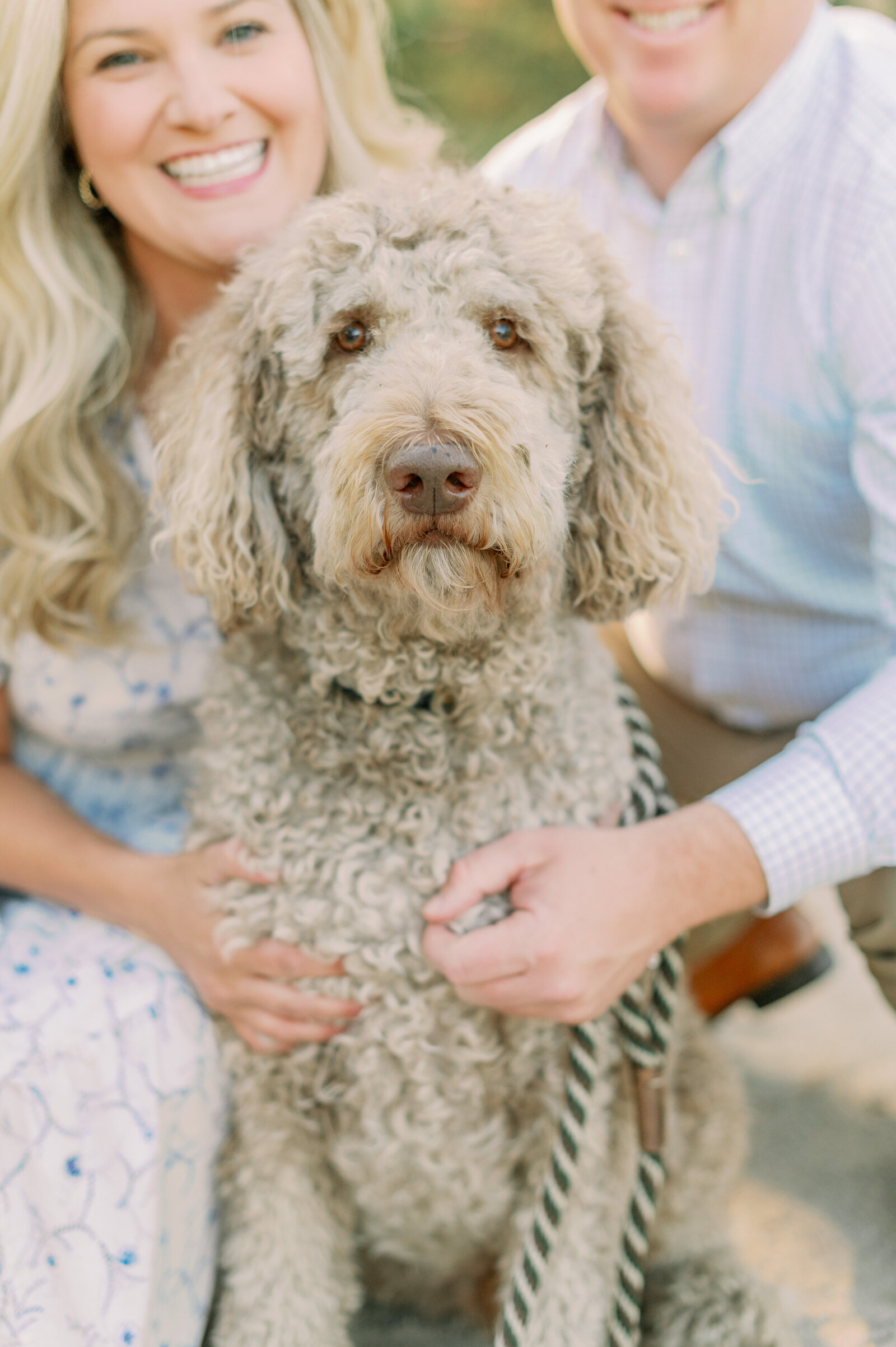 A close up of the couple's dog during their engagement session at Hampton Park