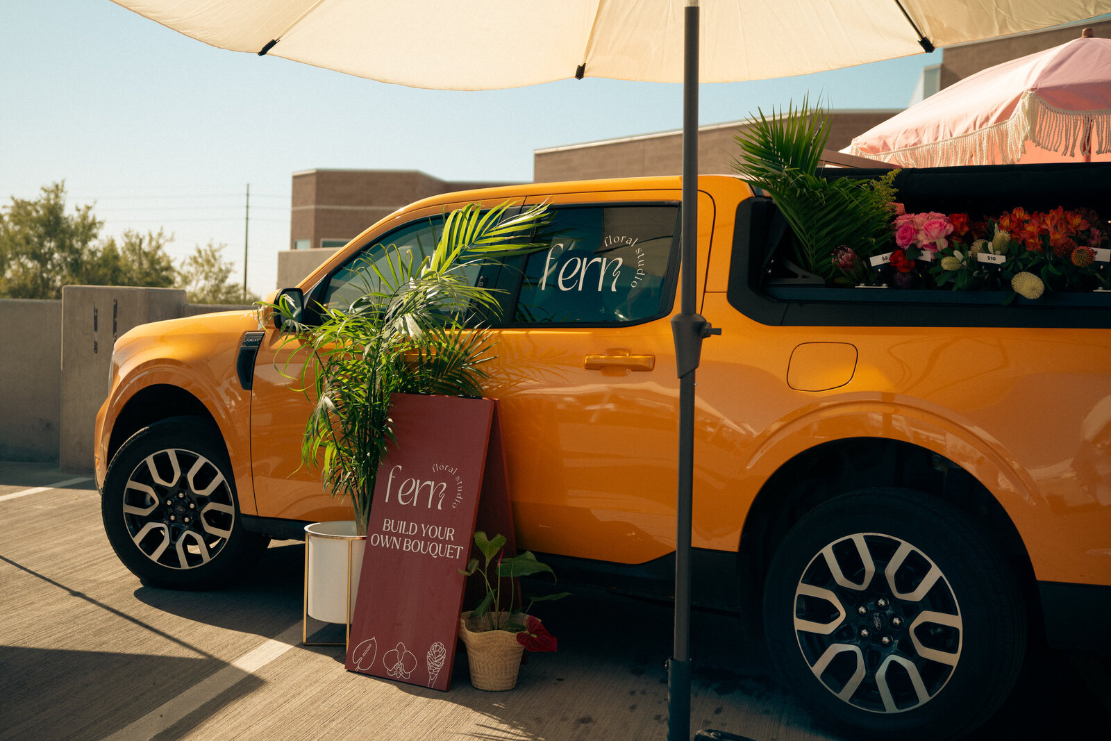 FERN-4