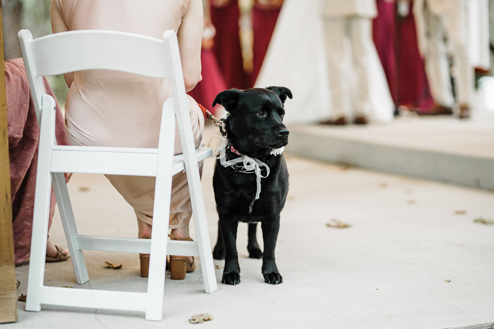 JWP_EmmaandTyler_10.25.2025__B___5161 copy