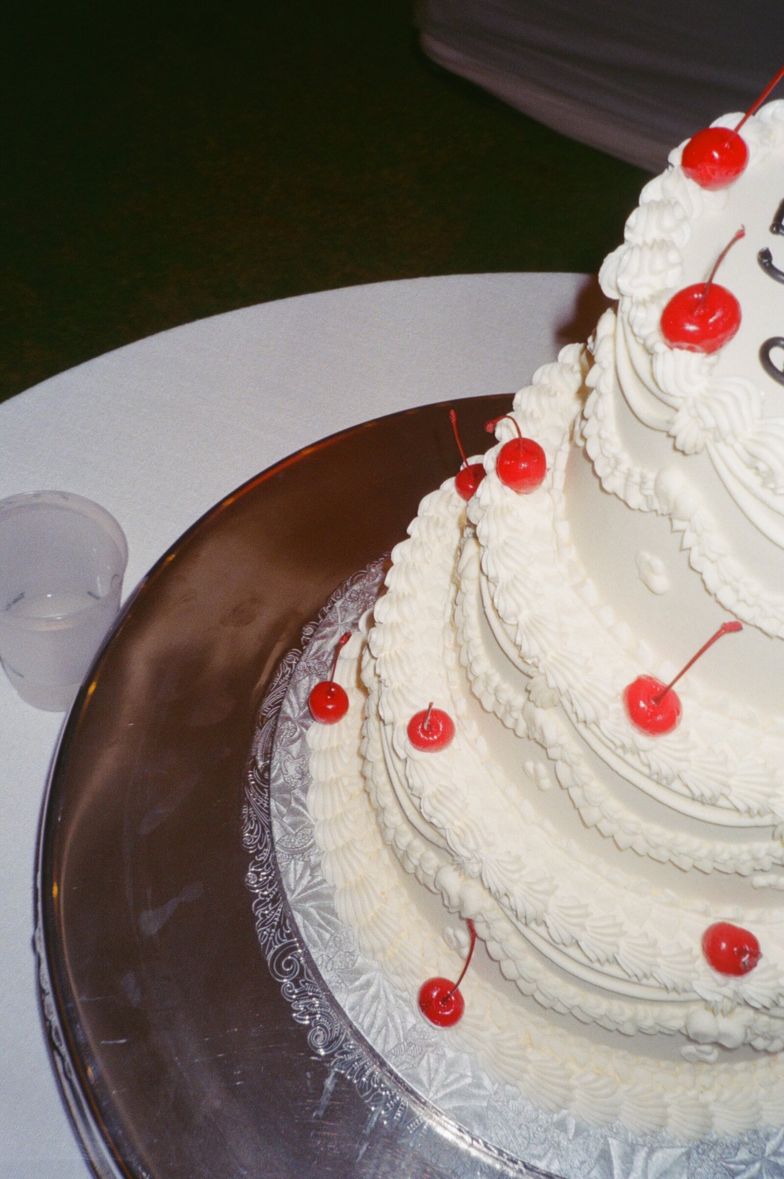 Boca Grande Wedding Photographer