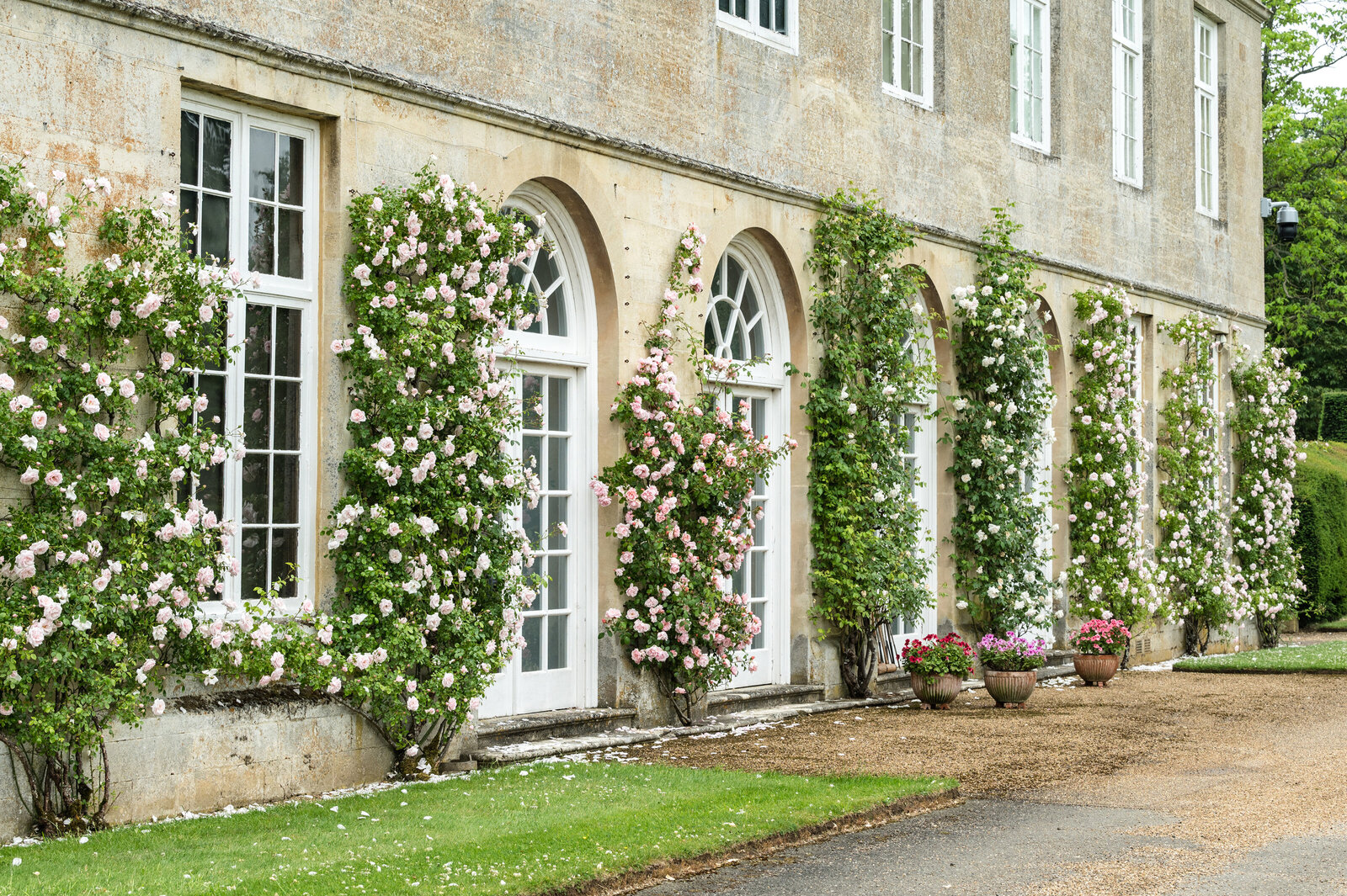 Boughton-House-wedding-photography-1004