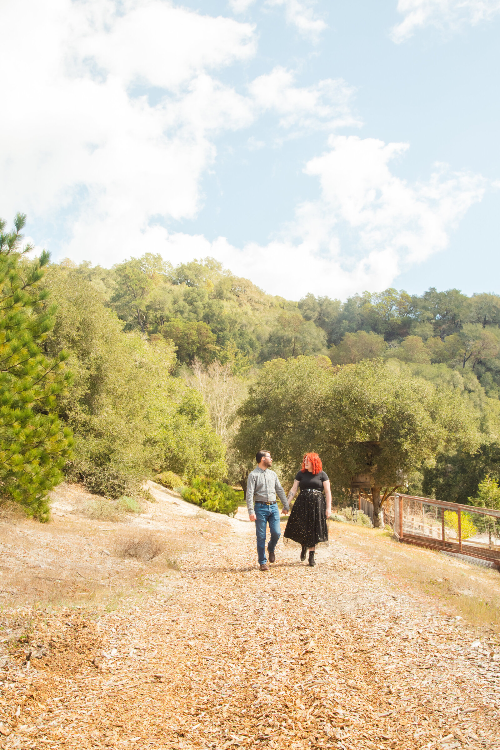 An tattooed engaged couple poses for photos in a redwood forest in Santa Cruz, Ca.