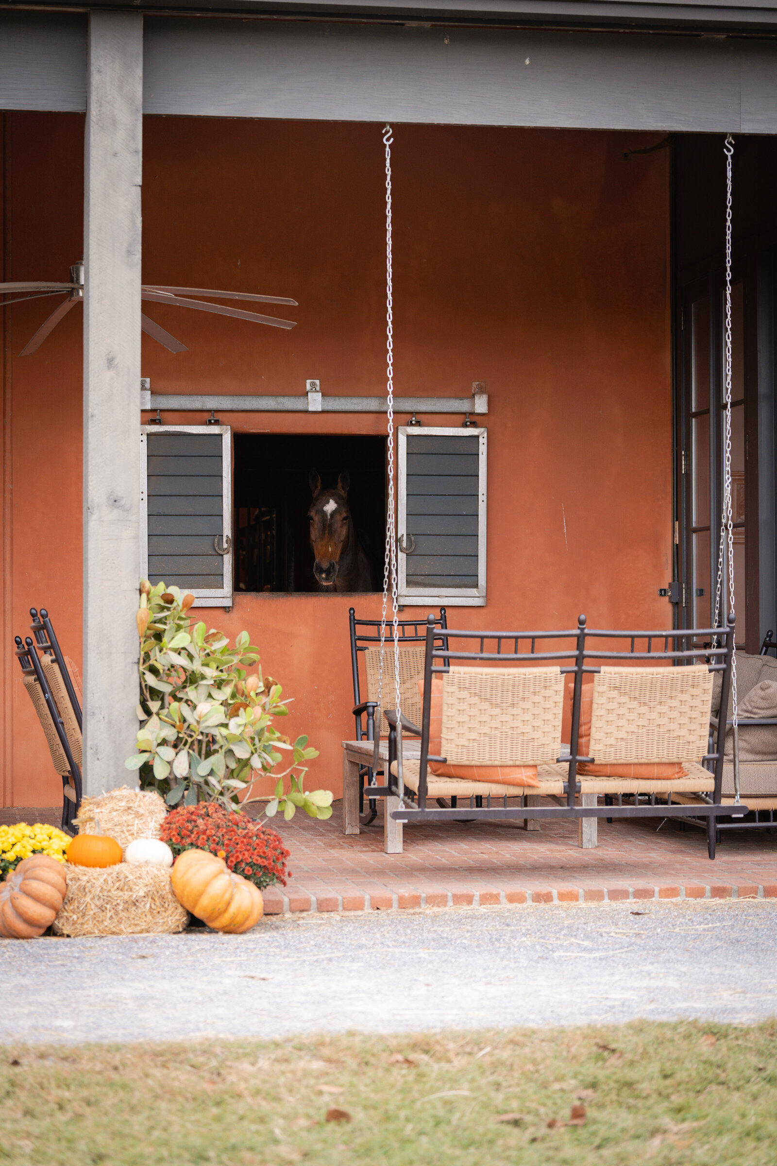 mjmphotography.blackjack.2024-69