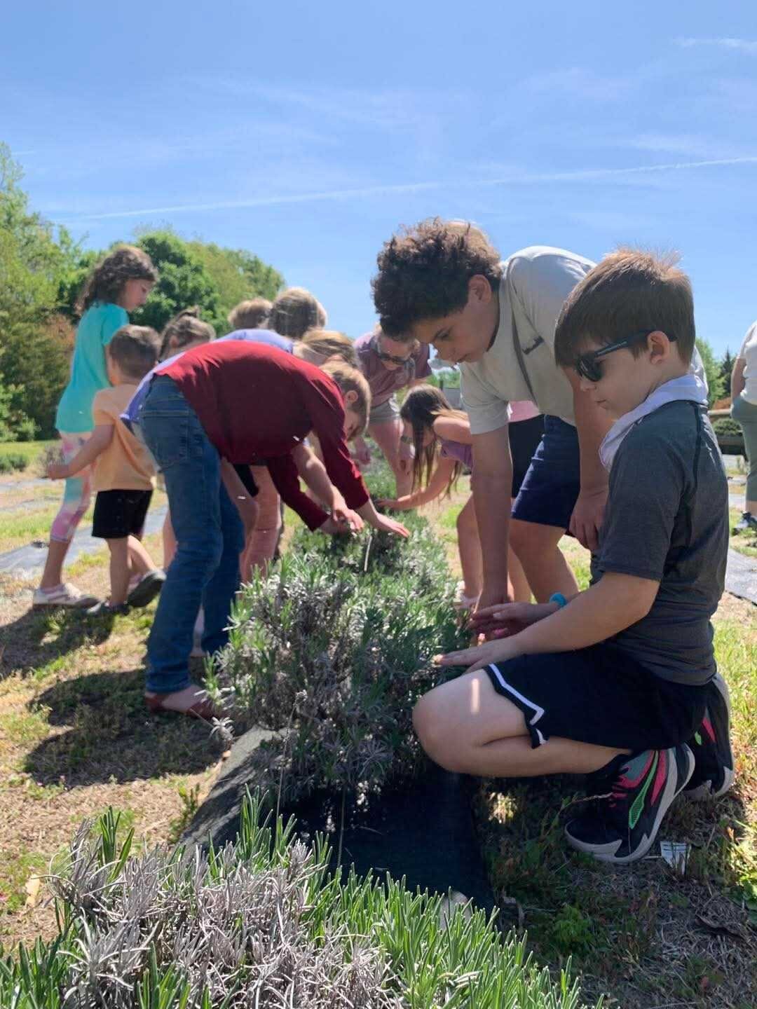 Children and an educator working in the garden together during a ROOTS enrichment program