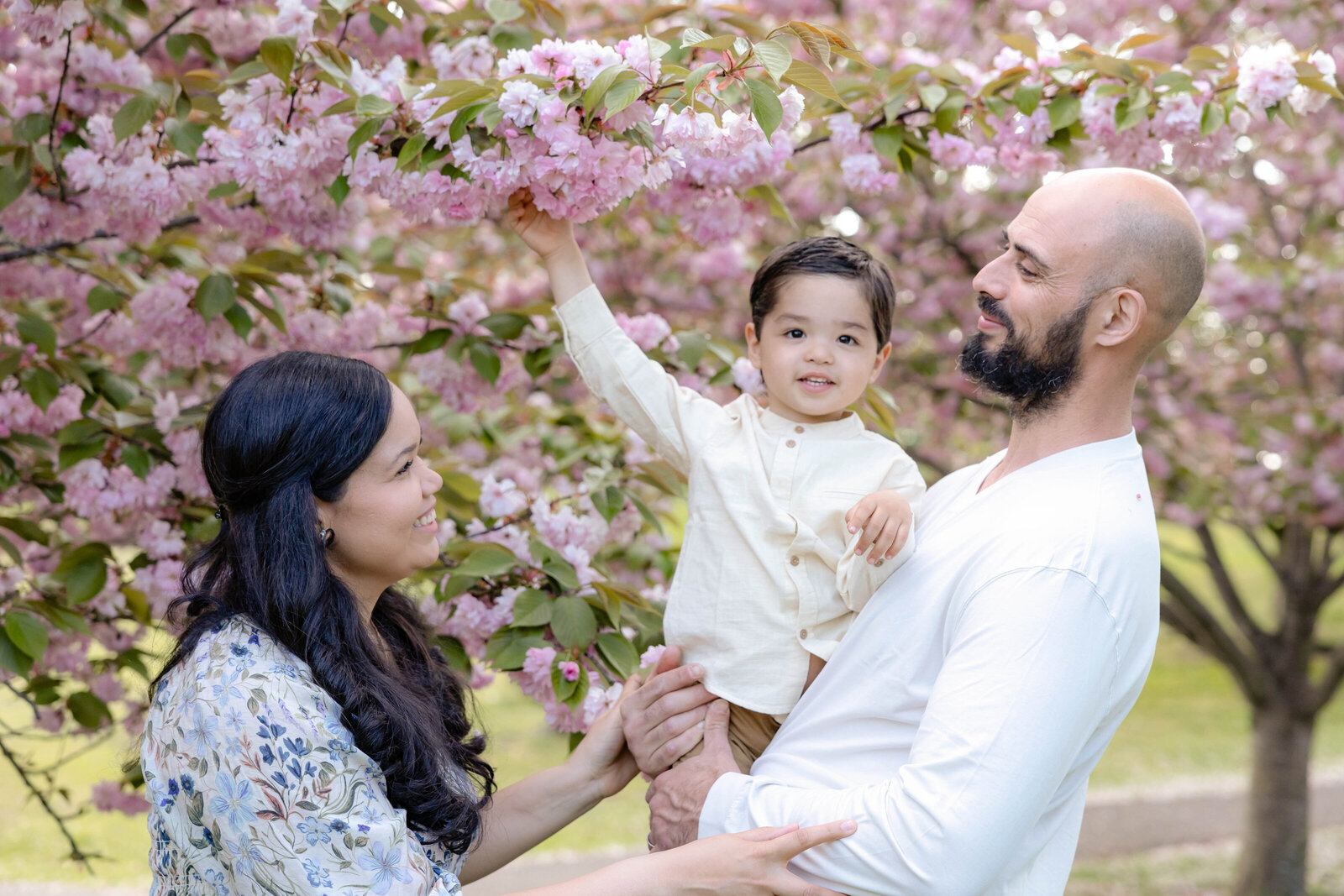 Cherry Blossoms at Eisenhower Park