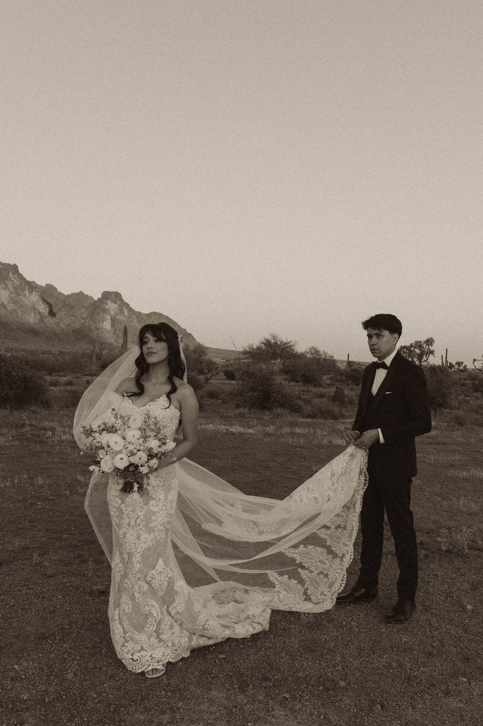 TheCarmonasWeddingAZ-1031