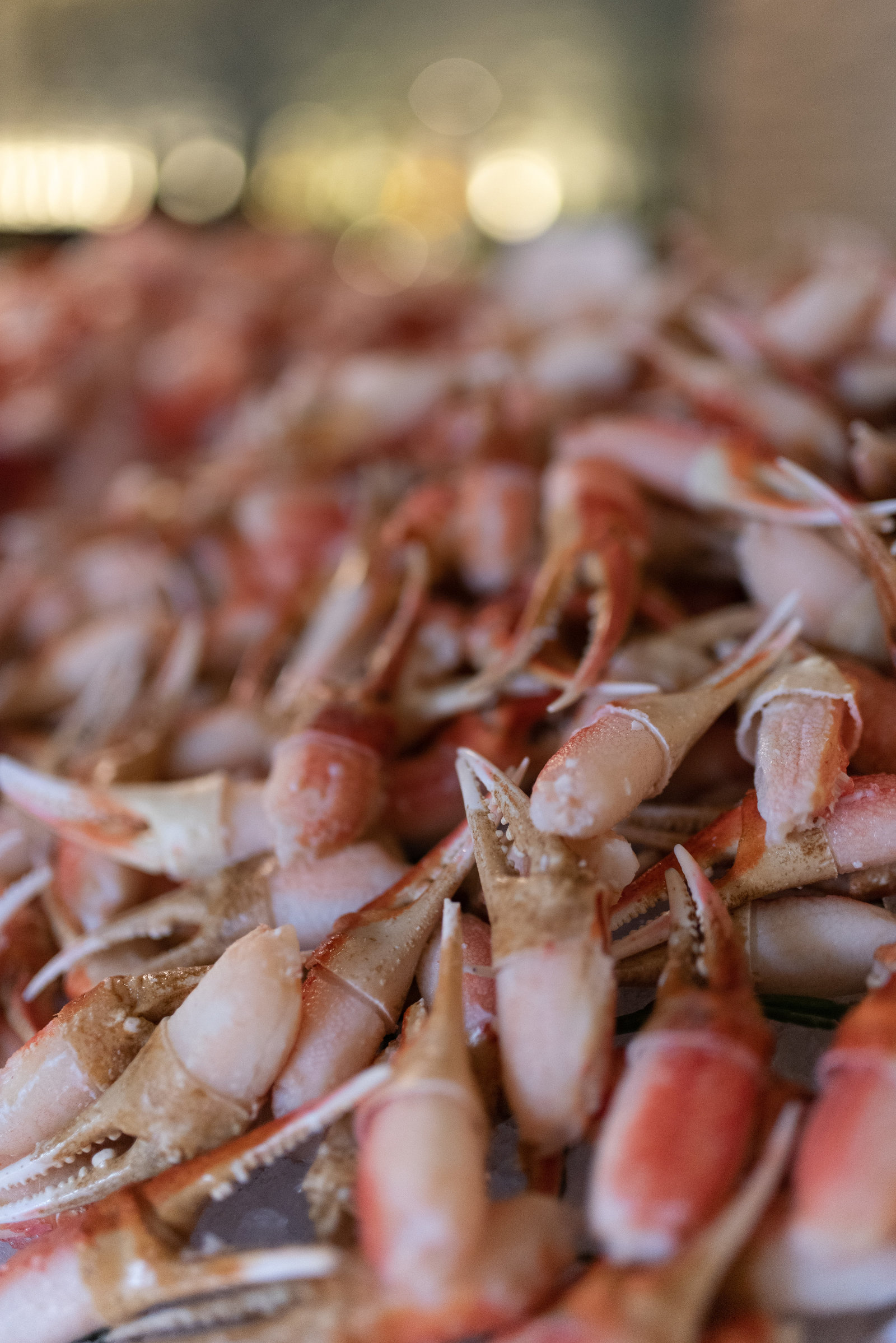 Wade_Muir_Photography_STK5