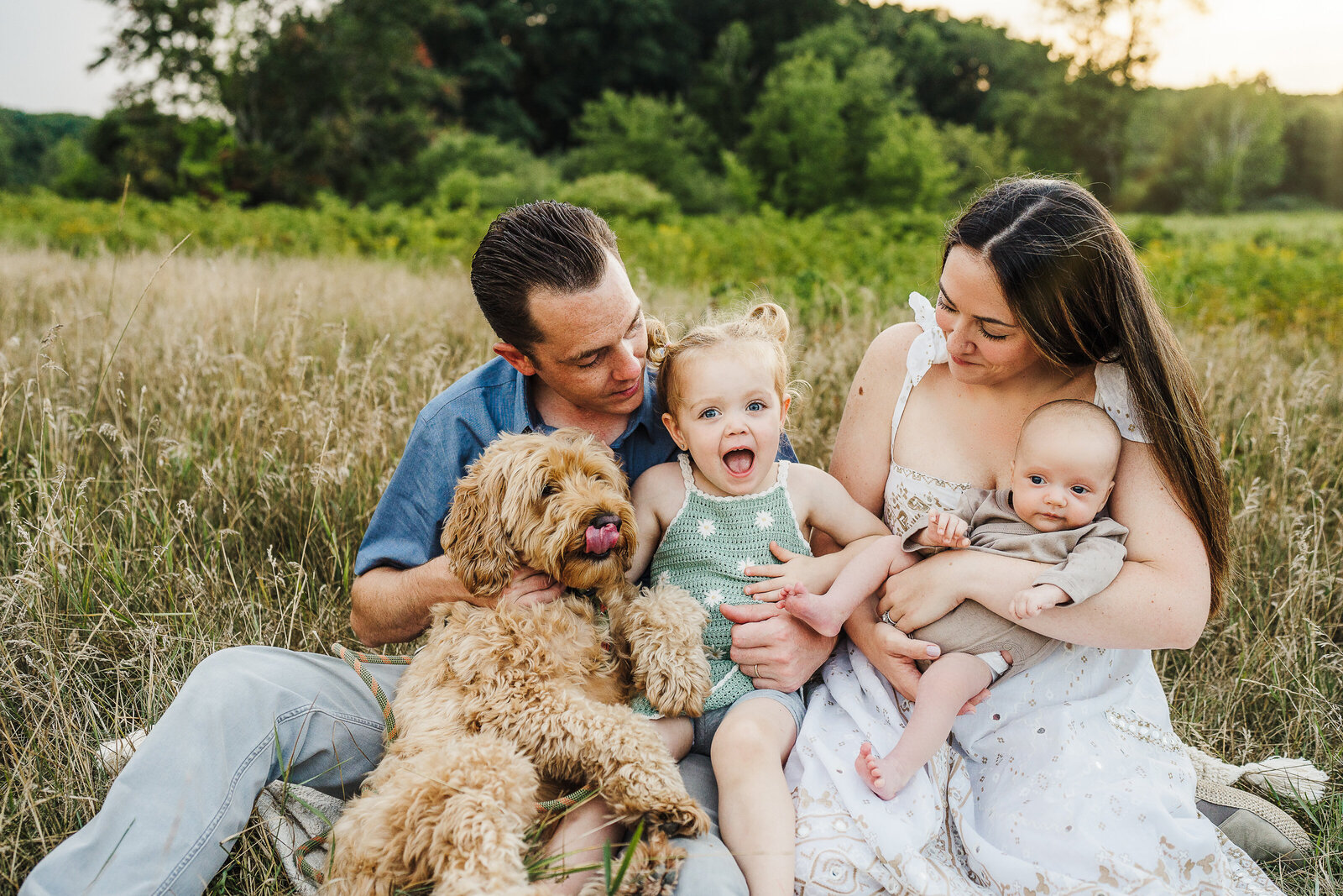 toddler girl and goldendoodle family pictures