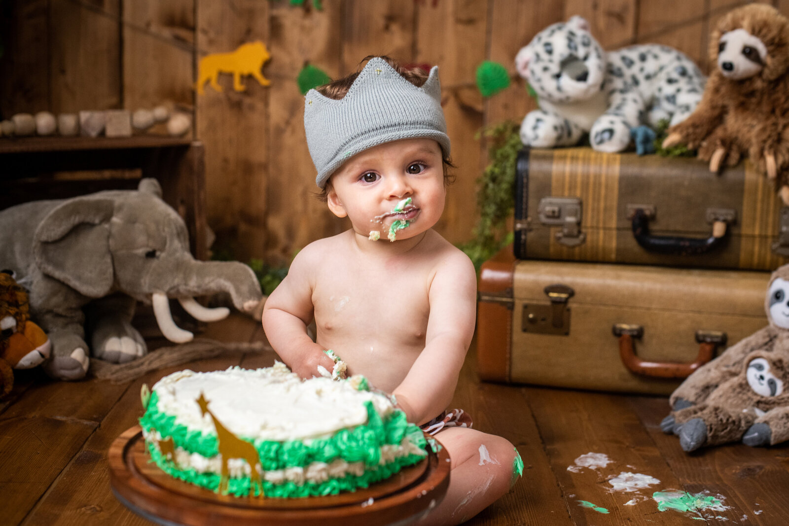 cake-smash-jungle-theme-cuyahoga-falls-photographer