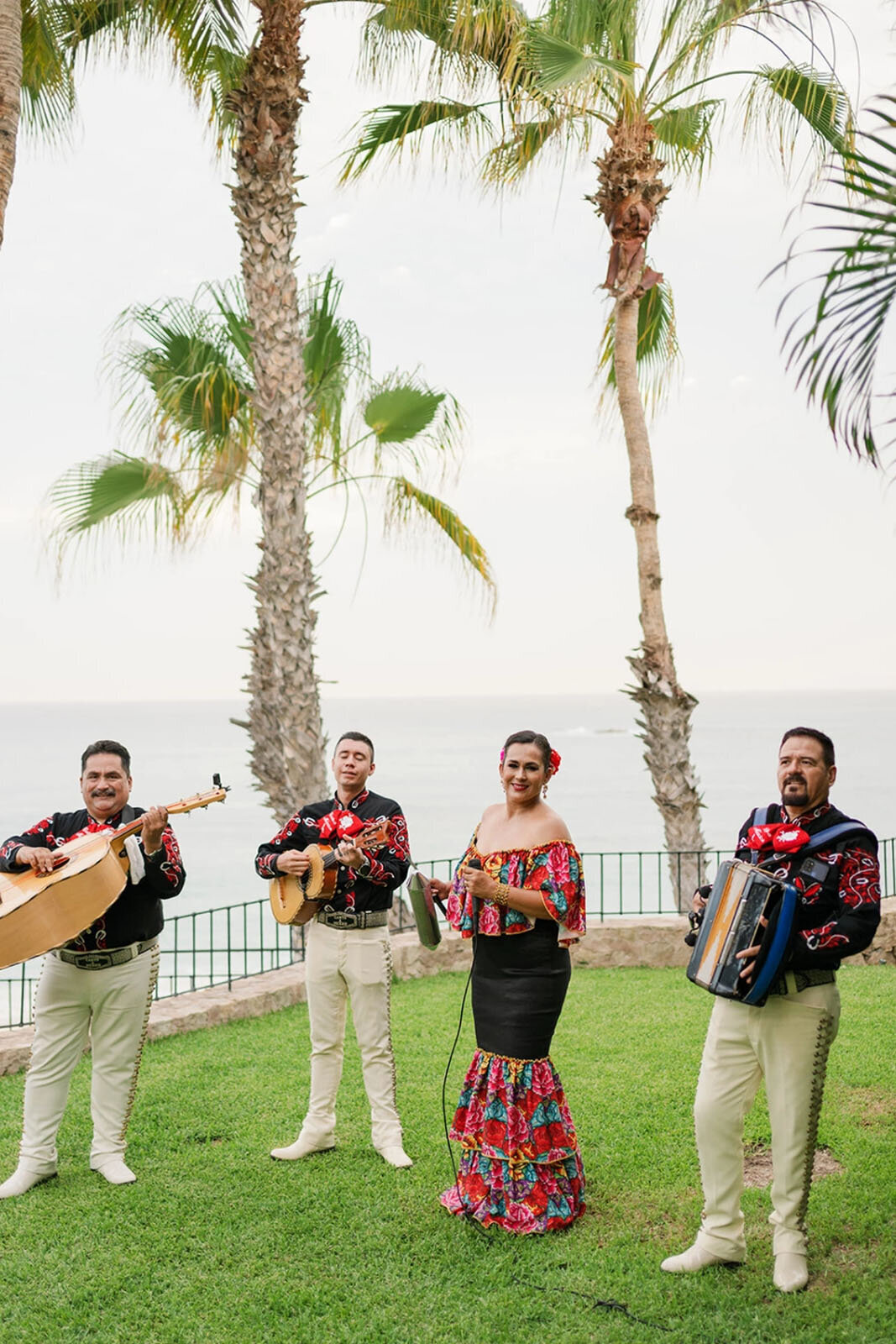 4c4c52cd332c43-DY482226618