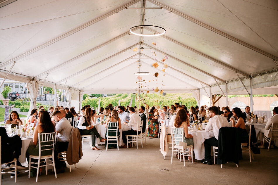 prince edward country wedding photography lushana bale portfolio-168