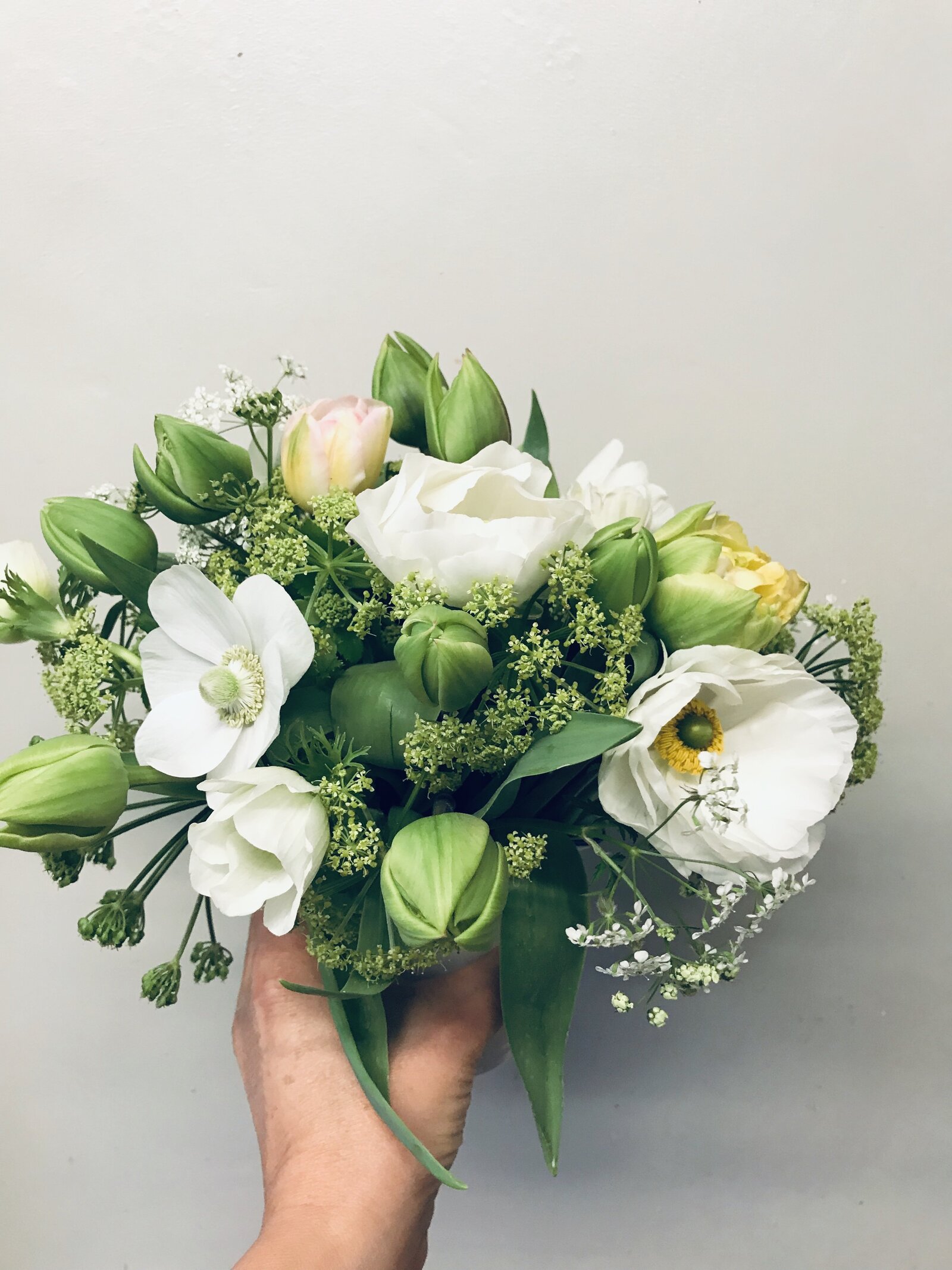 Green Rabbit Flowers | Arrangements